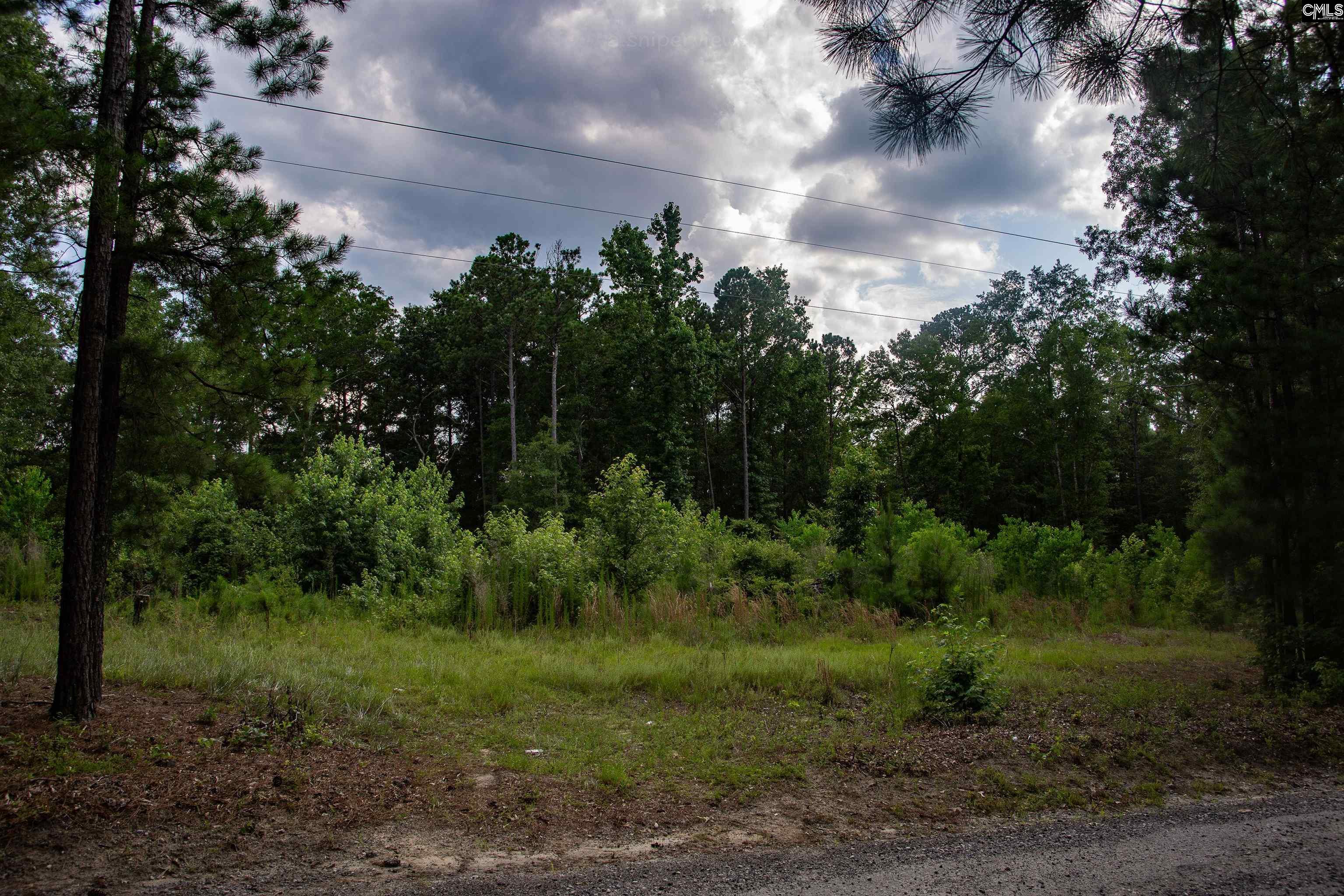 105 Dunwoody Place Blythewood, SC 29016-8452