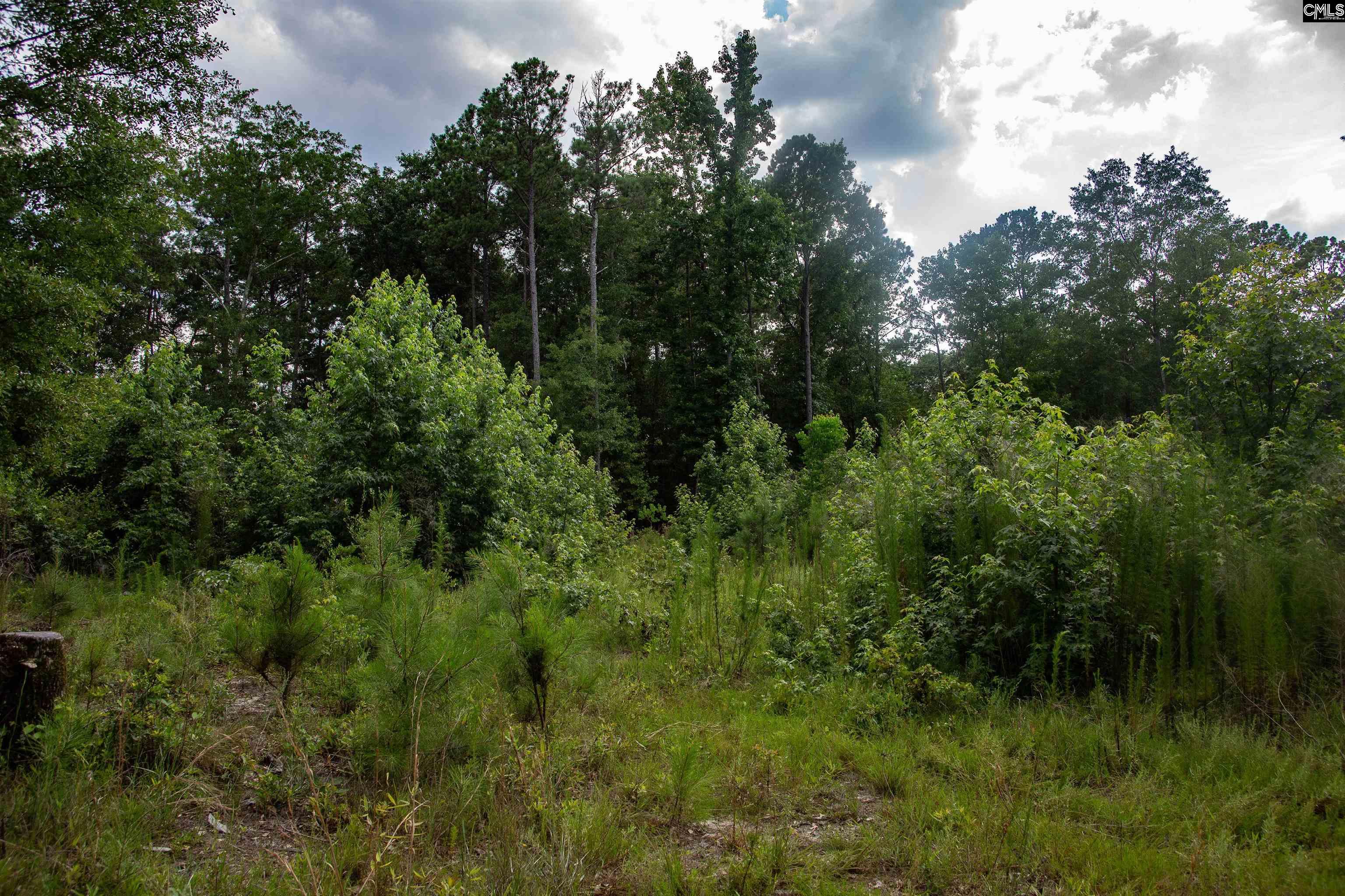 105 Dunwoody Place Blythewood, SC 29016-8452