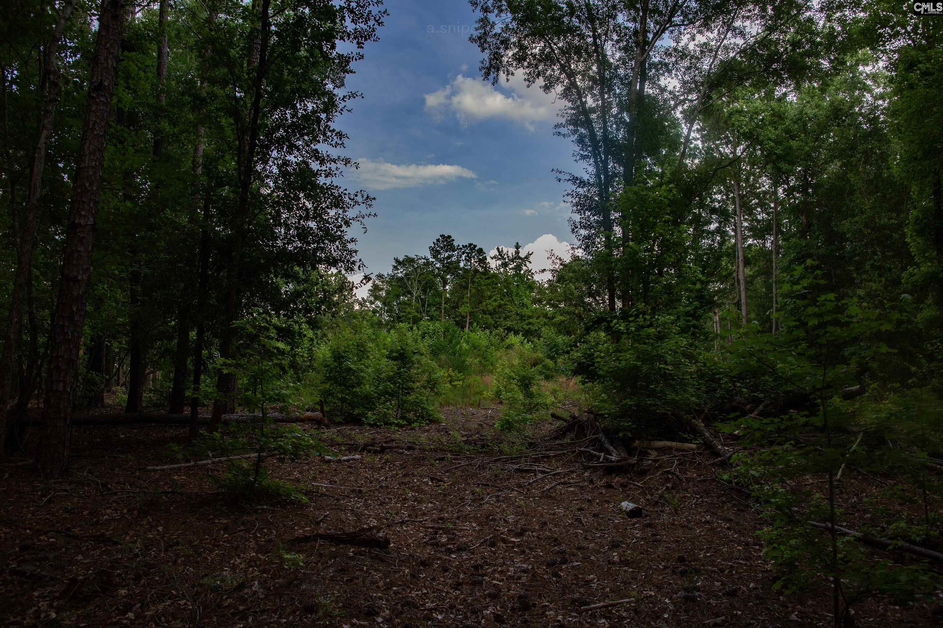 105 Dunwoody Place Blythewood, SC 29016-8452