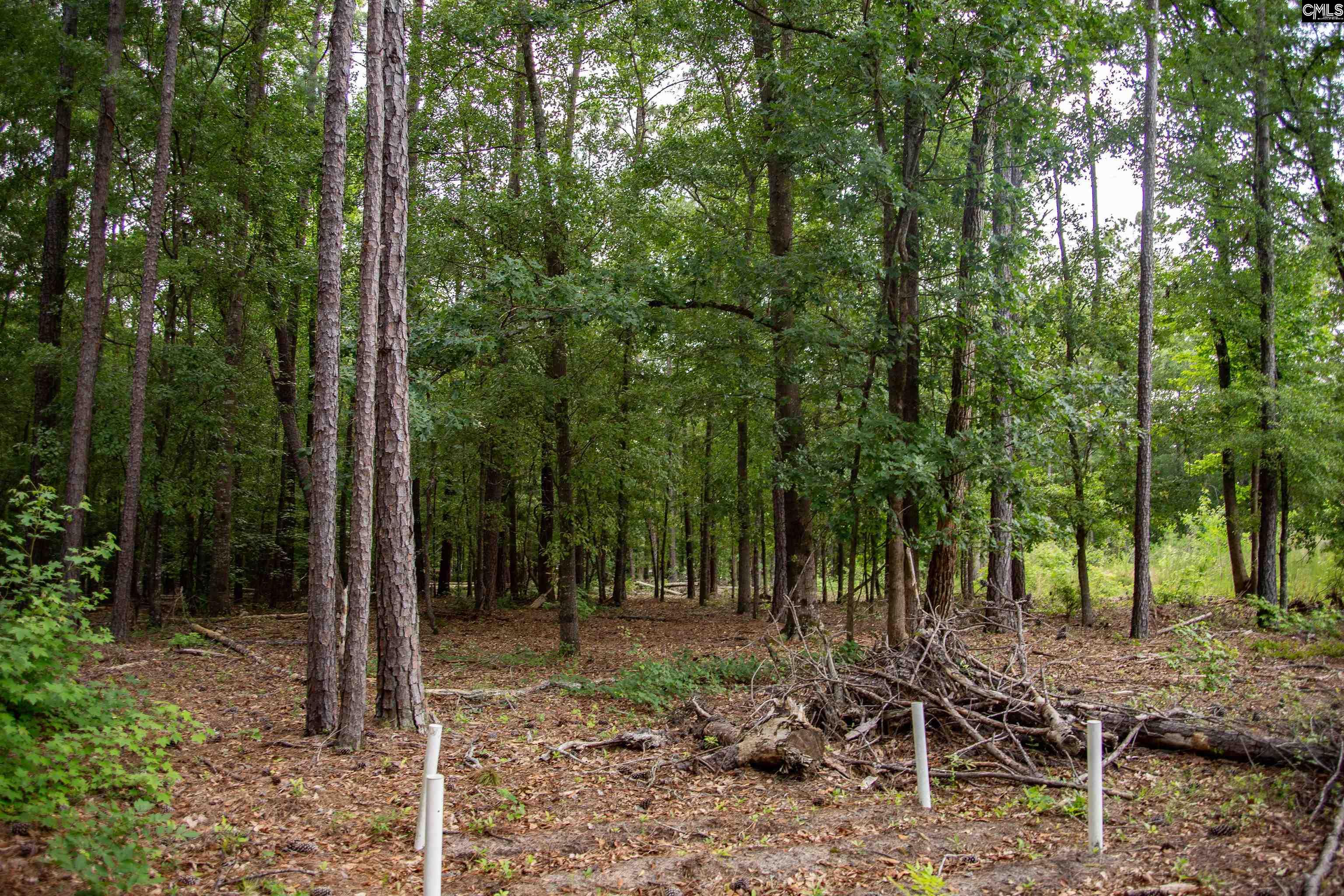 105 Dunwoody Place Blythewood, SC 29016-8452