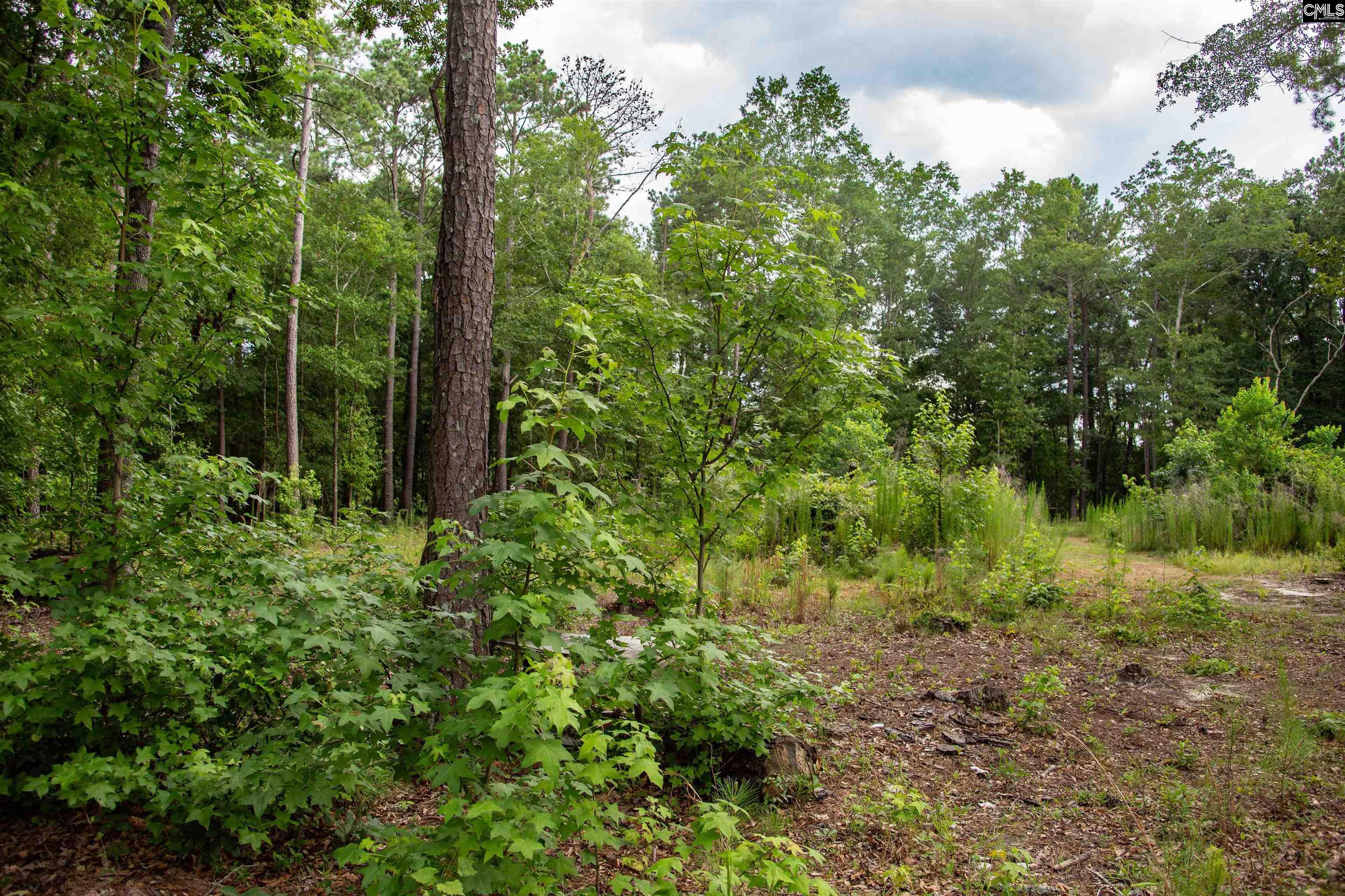 105 Dunwoody Place Blythewood, SC 29016-8452