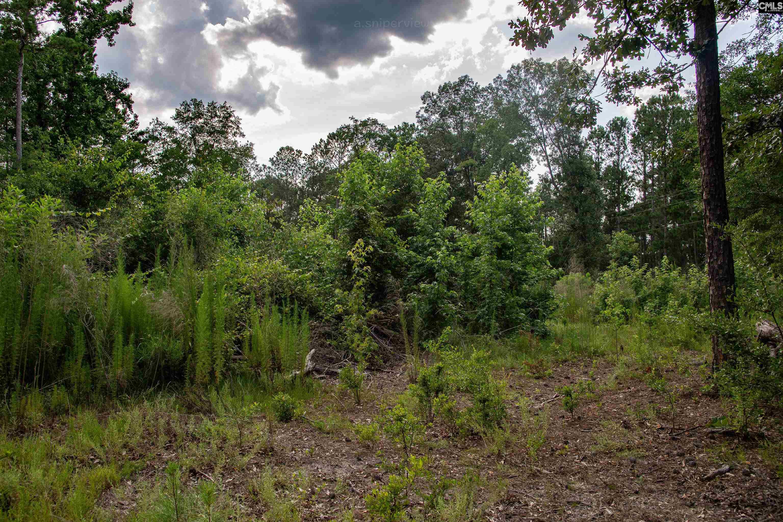 105 Dunwoody Place Blythewood, SC 29016-8452
