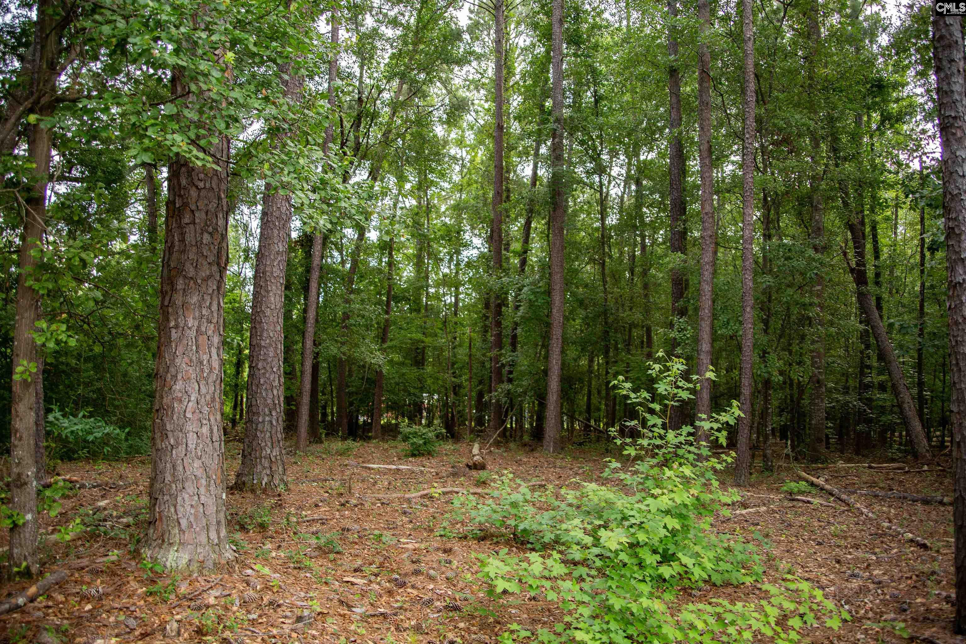 105 Dunwoody Place Blythewood, SC 29016-8452