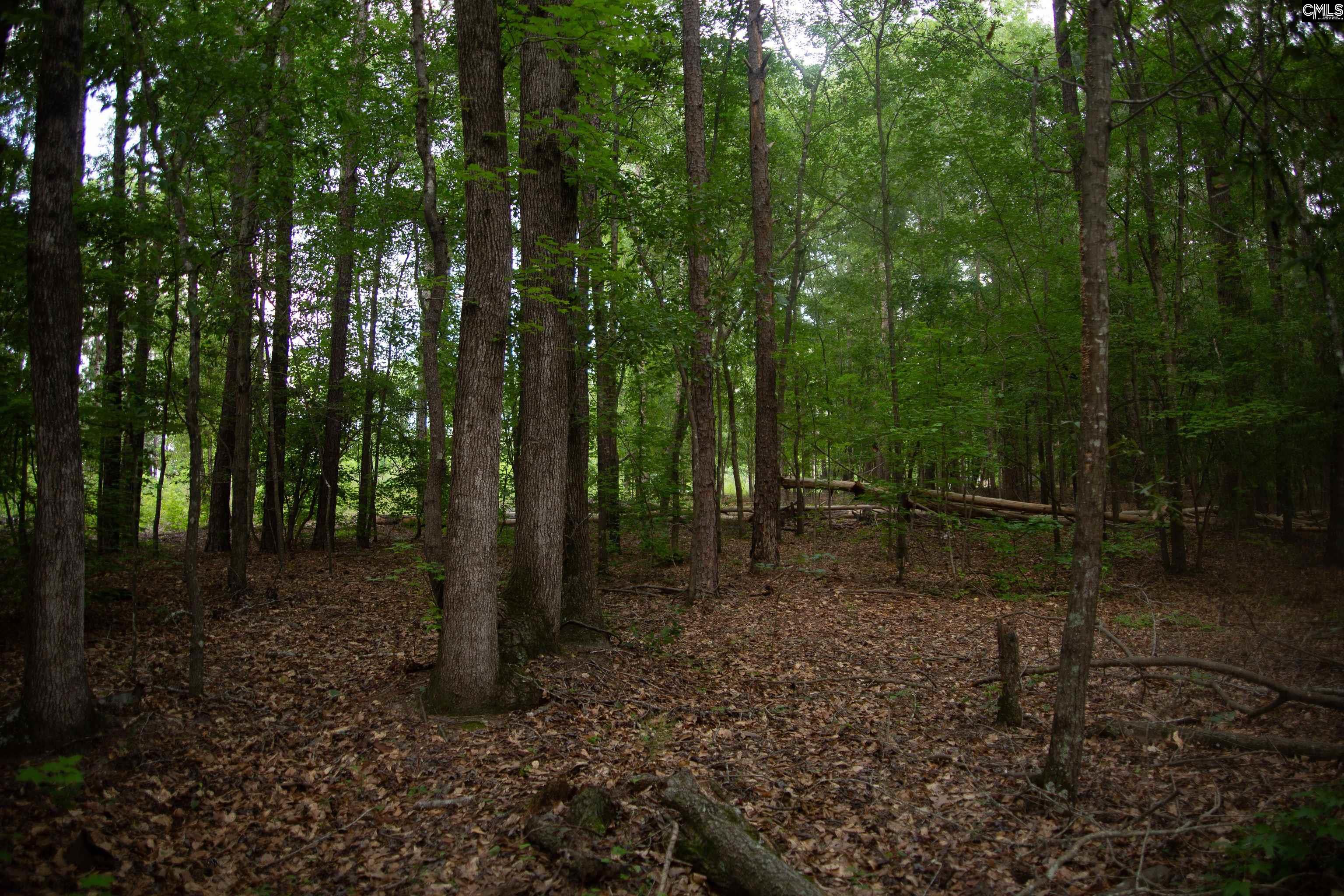 105 Dunwoody Place Blythewood, SC 29016-8452