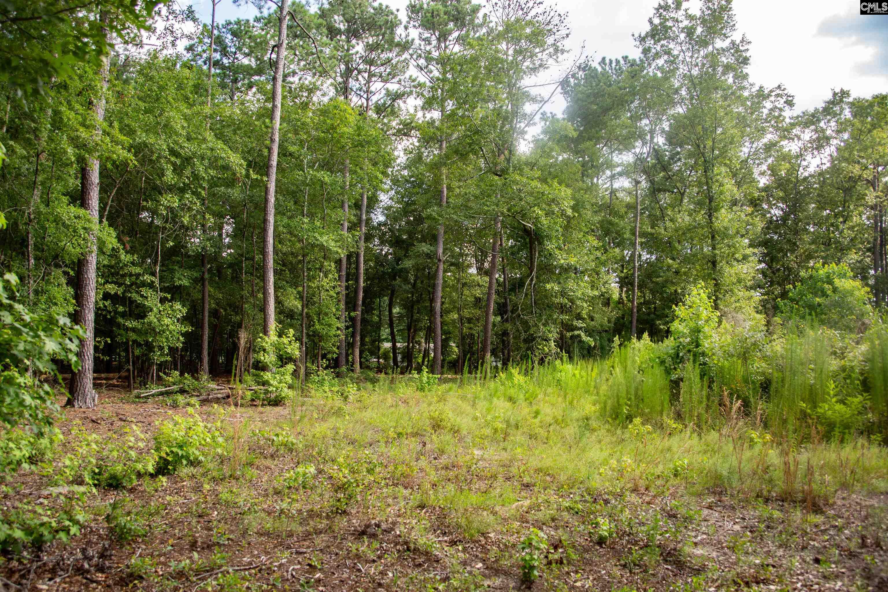 105 Dunwoody Place Blythewood, SC 29016-8452