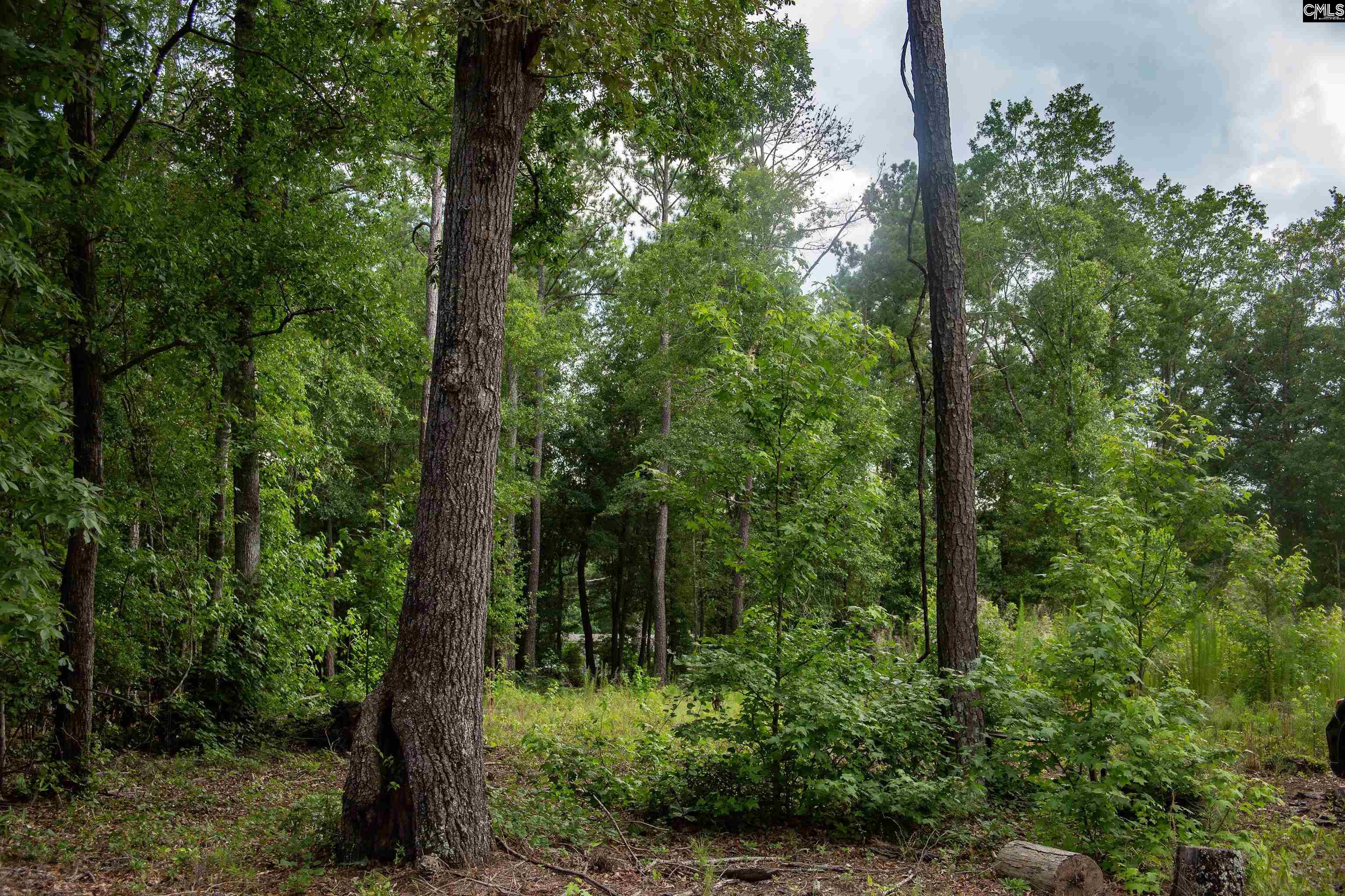 105 Dunwoody Place Blythewood, SC 29016-8452