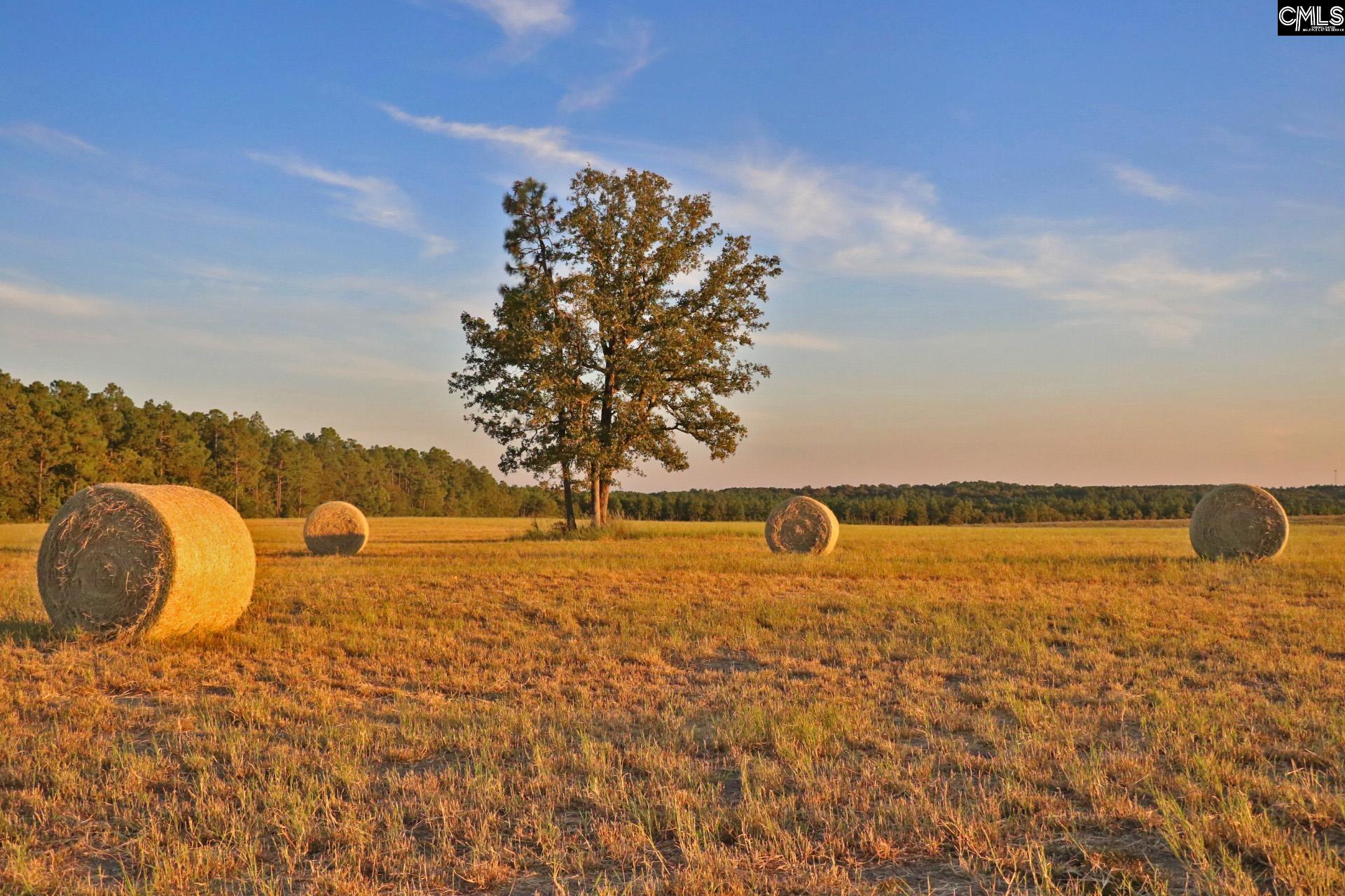 TBD Browns Pond Road Wagener, SC 29164-0000
