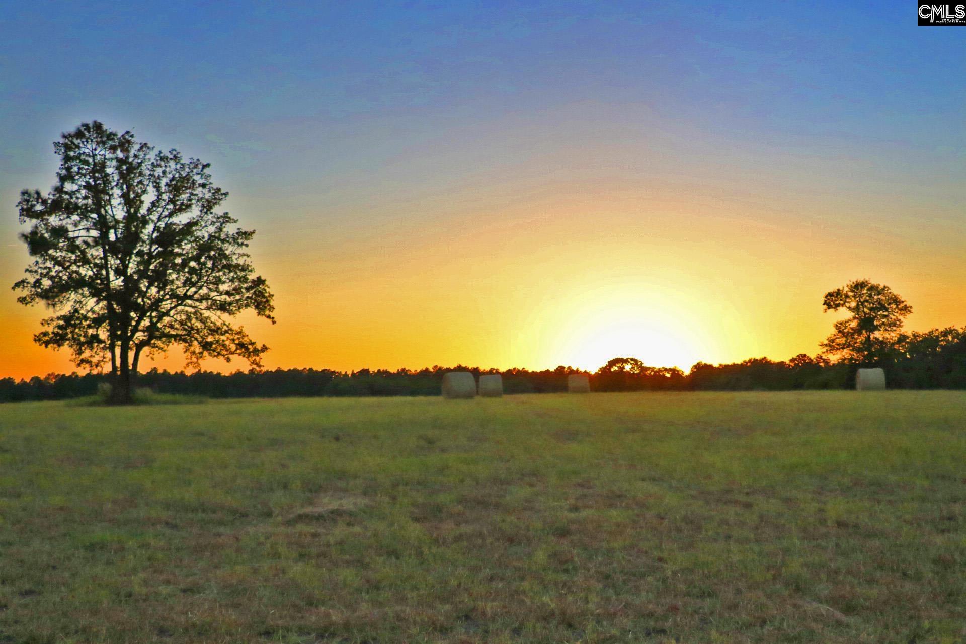 TBD Browns Pond Road Wagener, SC 29164-0000