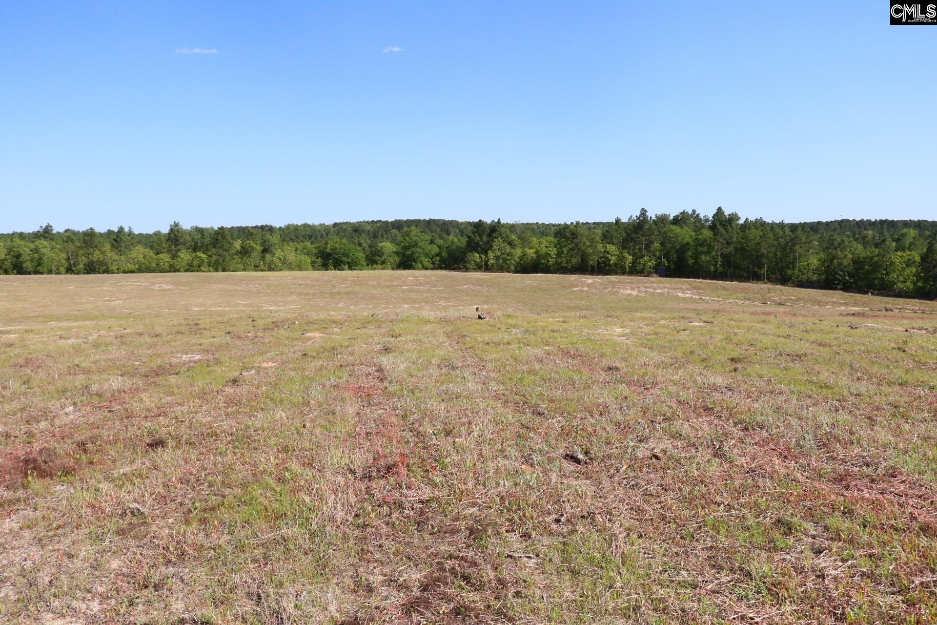 TBD Browns Pond Road Wagener, SC 29164-0000