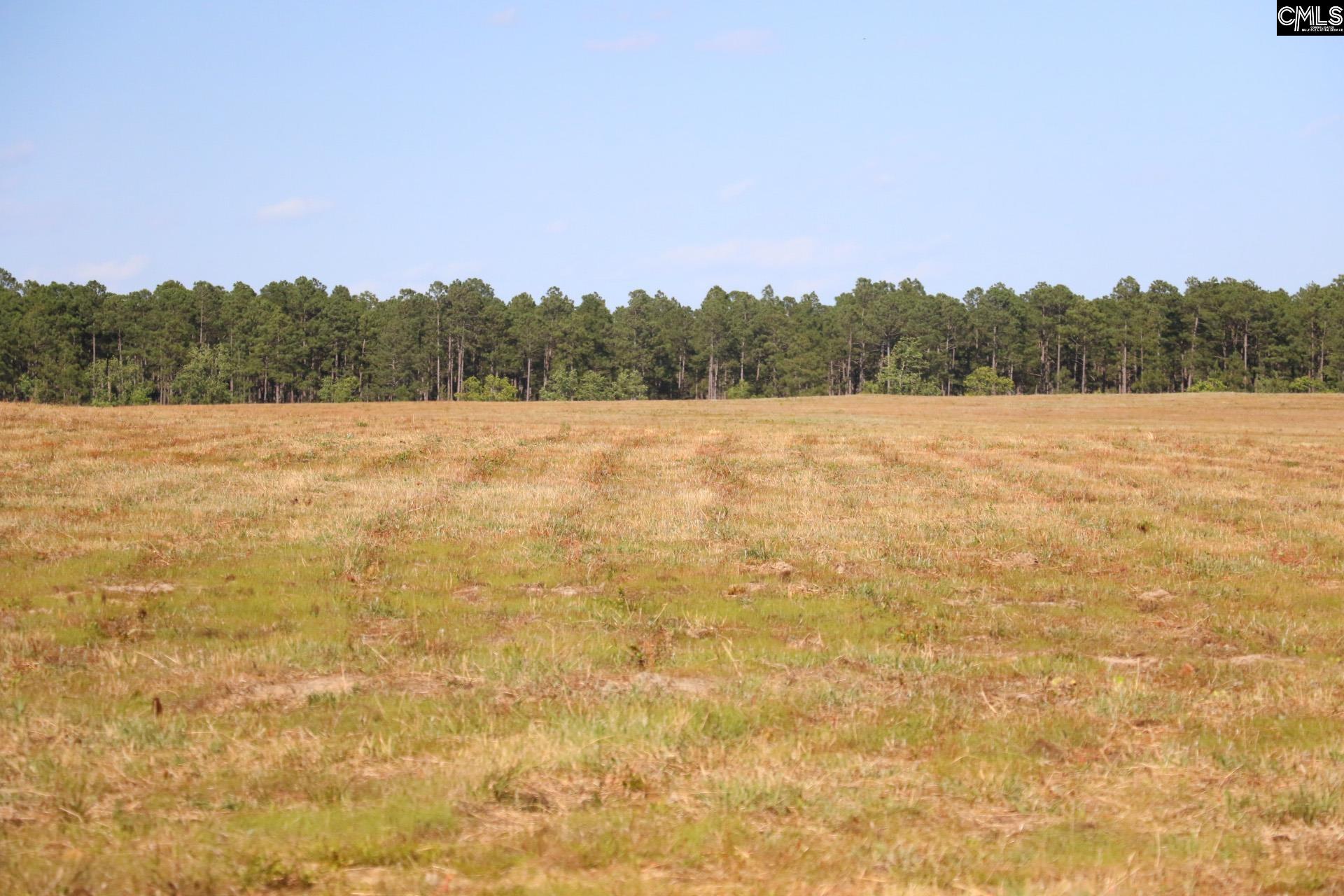 TBD Browns Pond Road Wagener, SC 29164-0000