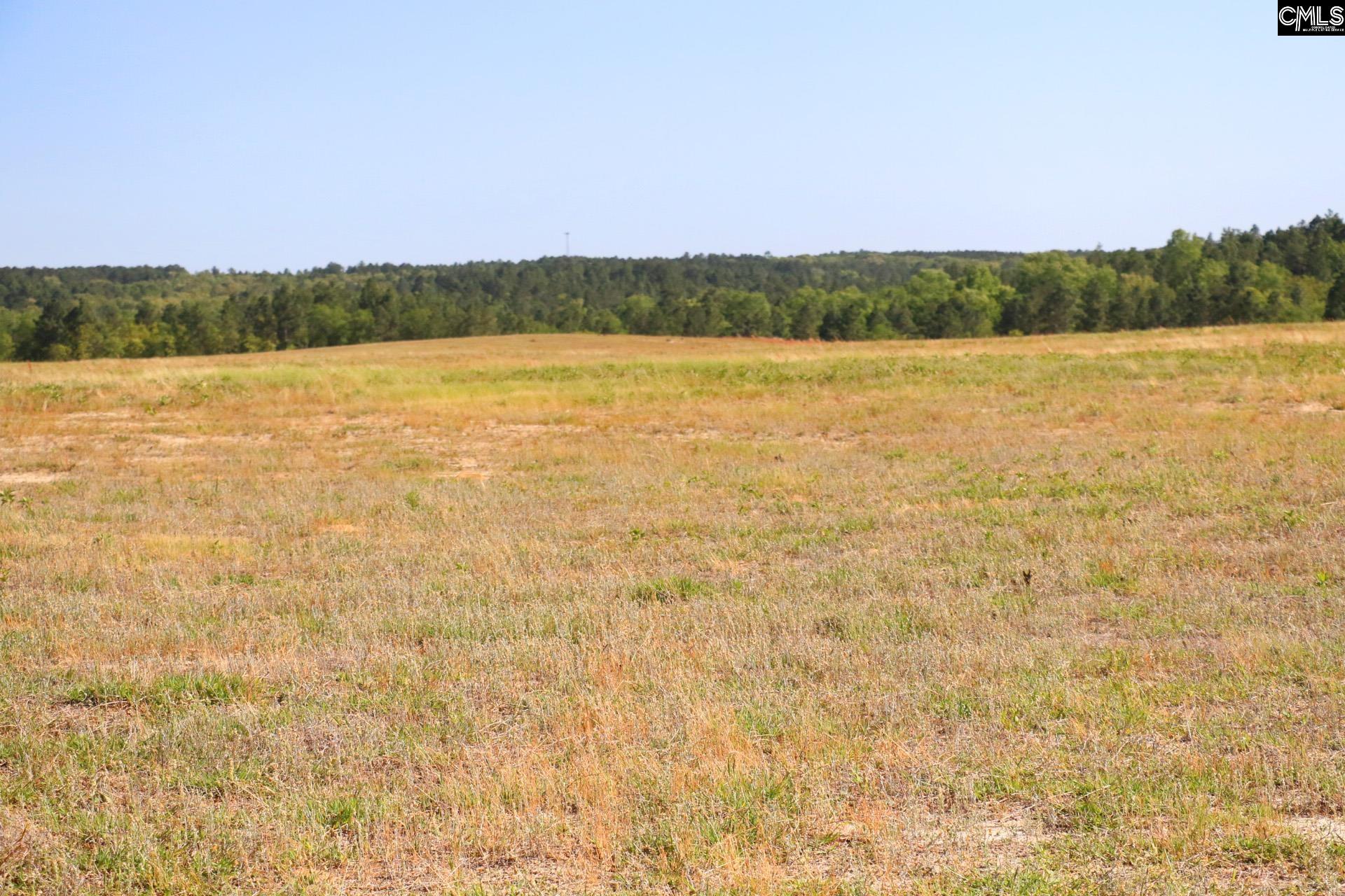 TBD Browns Pond Road Wagener, SC 29164-0000