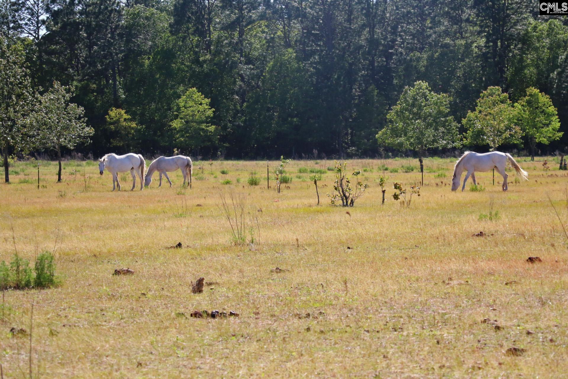 TBD Browns Pond Road Wagener, SC 29164-0000