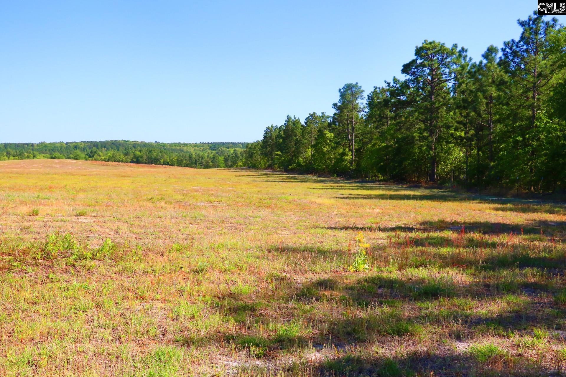 TBD Browns Pond Road Wagener, SC 29164-0000