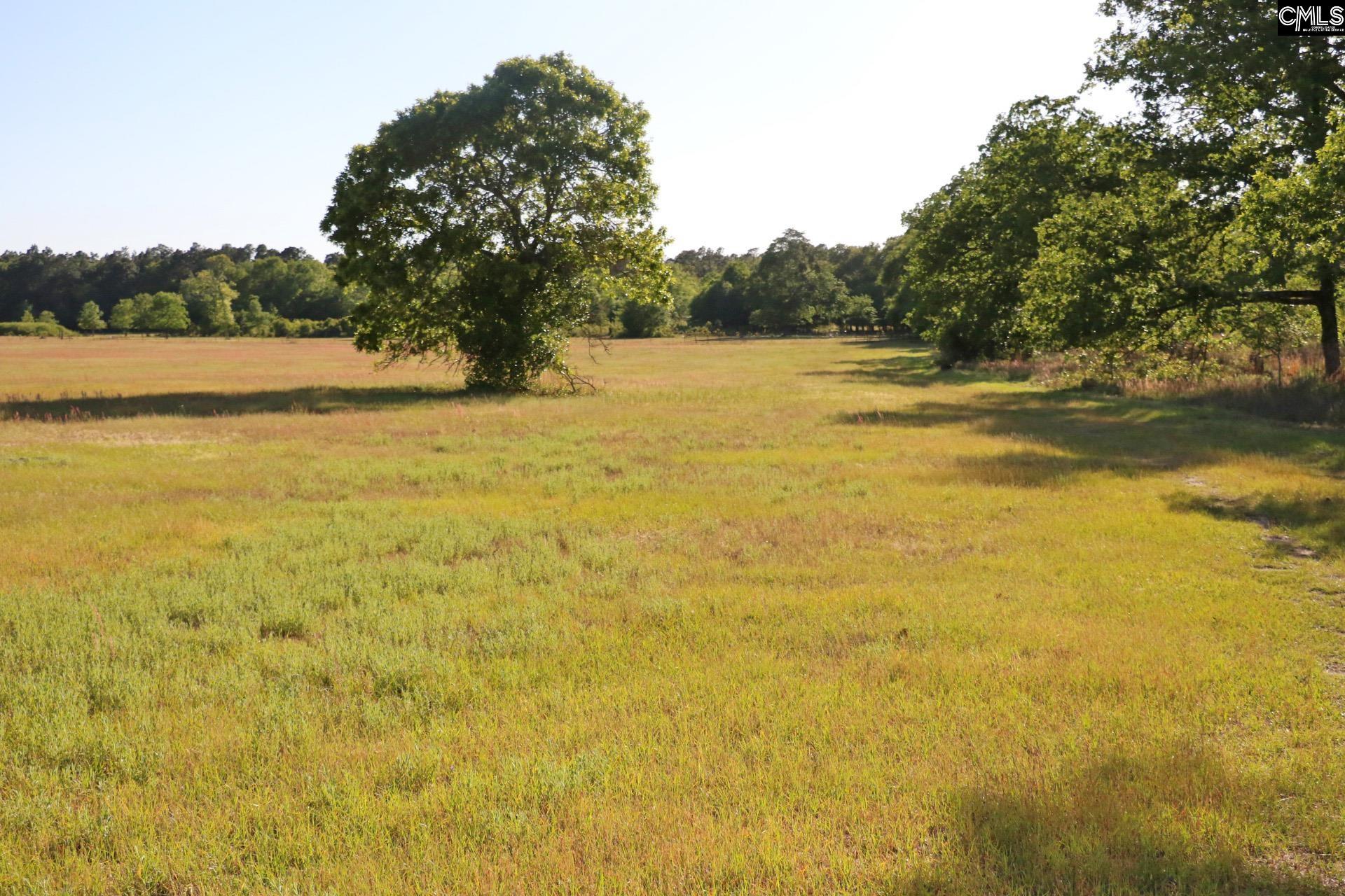 TBD Browns Pond Road Wagener, SC 29164-0000