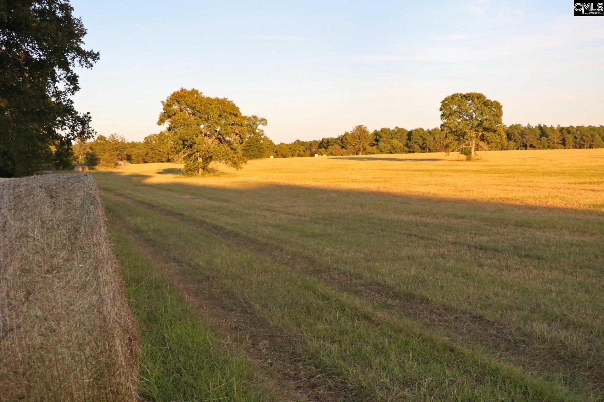 TBD Browns Pond Road Wagener, SC 29164-0000