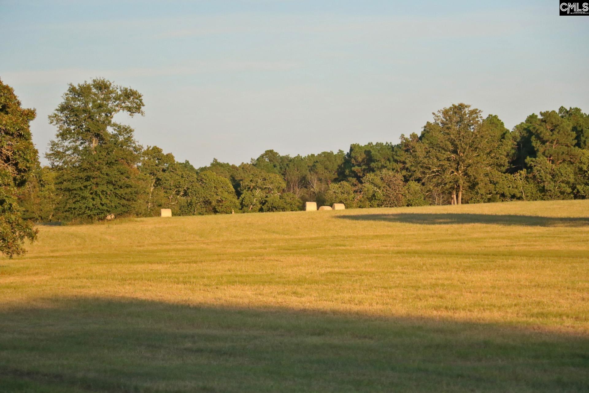 TBD Browns Pond Road Wagener, SC 29164-0000
