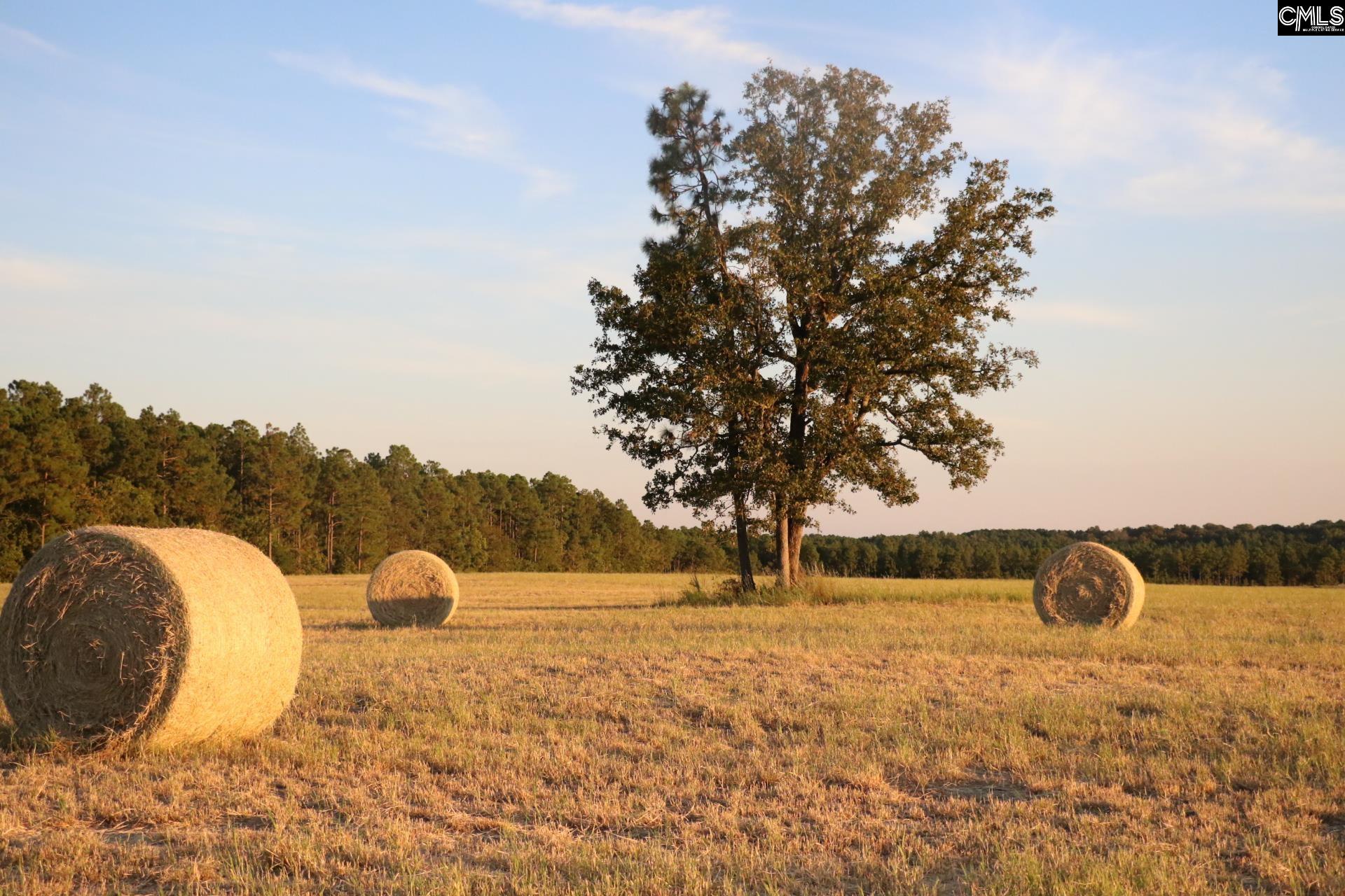 TBD Browns Pond Road Wagener, SC 29164-0000