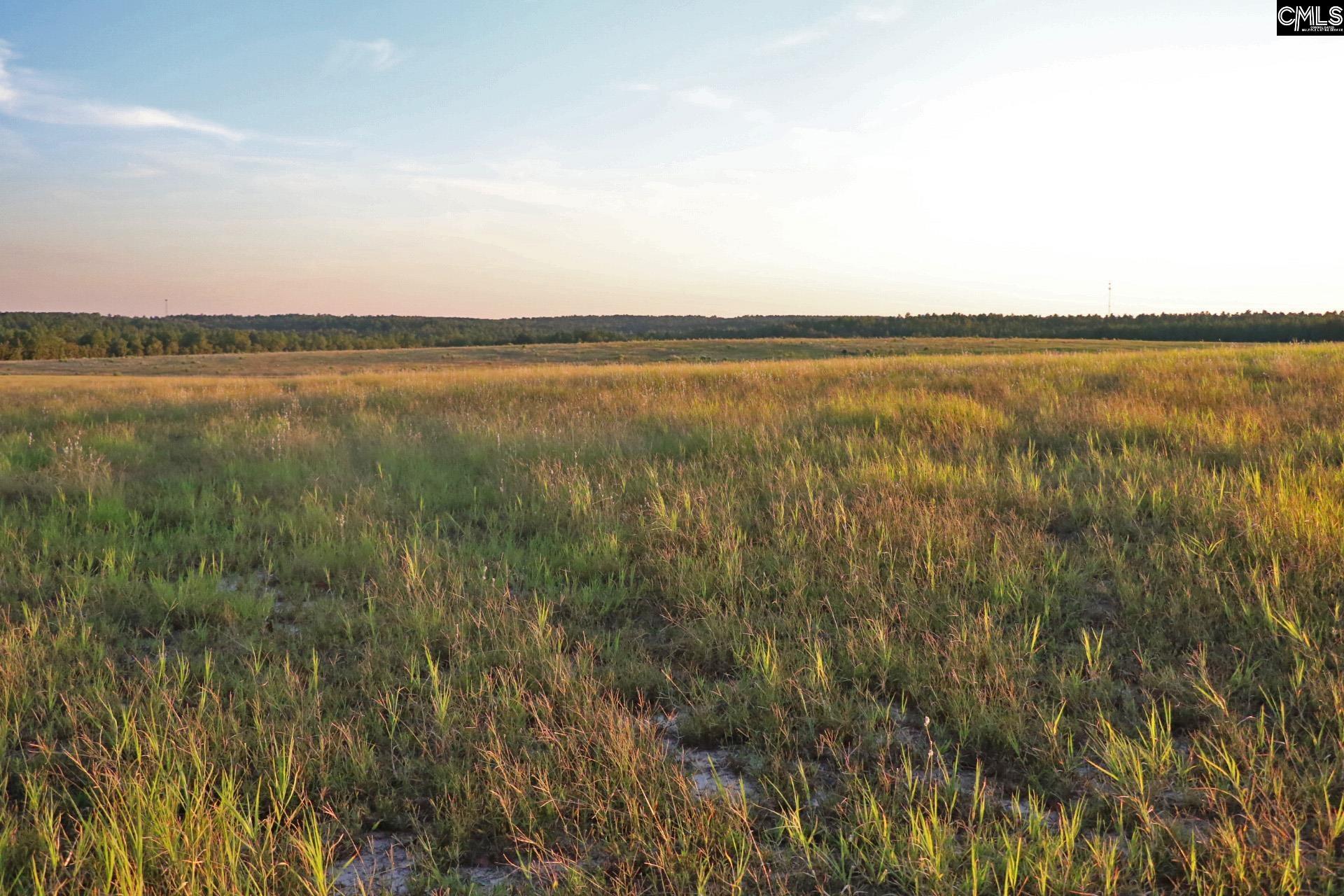 TBD Browns Pond Road Wagener, SC 29164-0000