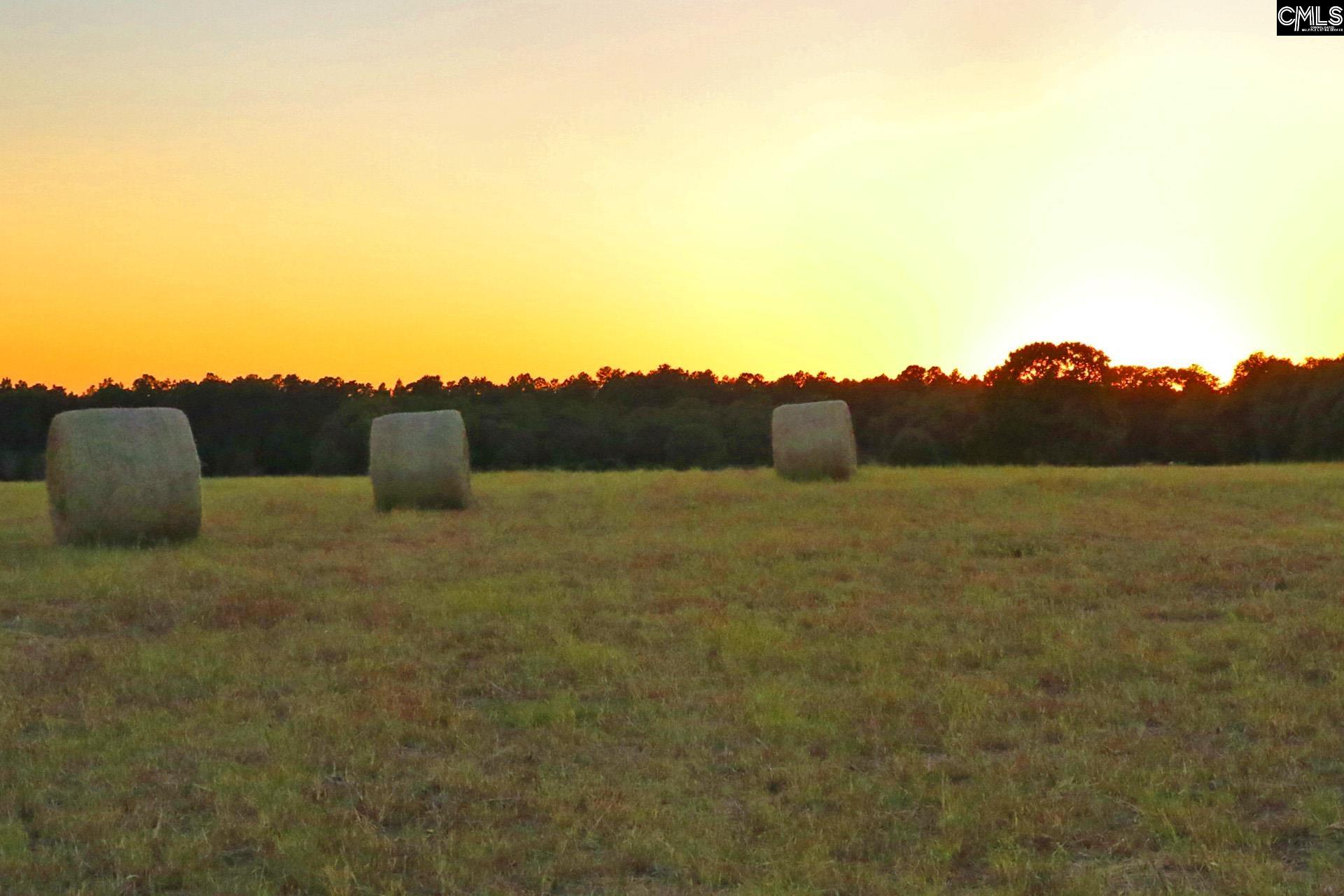 TBD Browns Pond Road Wagener, SC 29164-0000