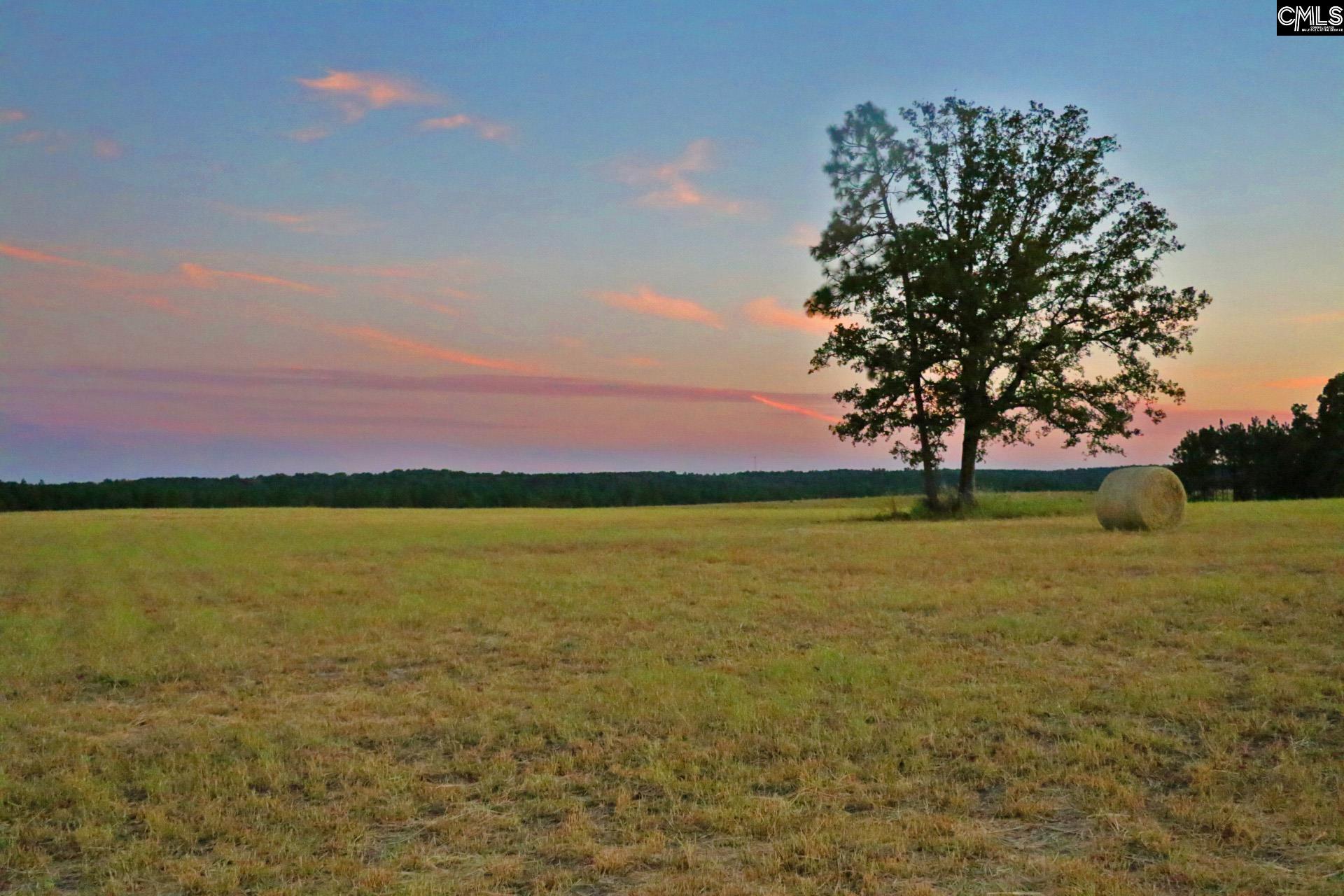 TBD Browns Pond Road Wagener, SC 29164-0000