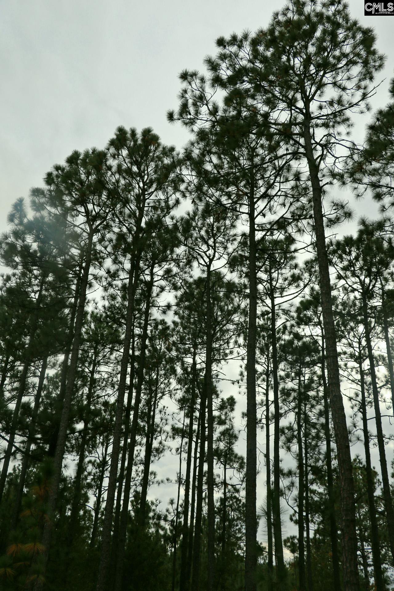 TBD Browns Pond Road Wagener, SC 29164-0000
