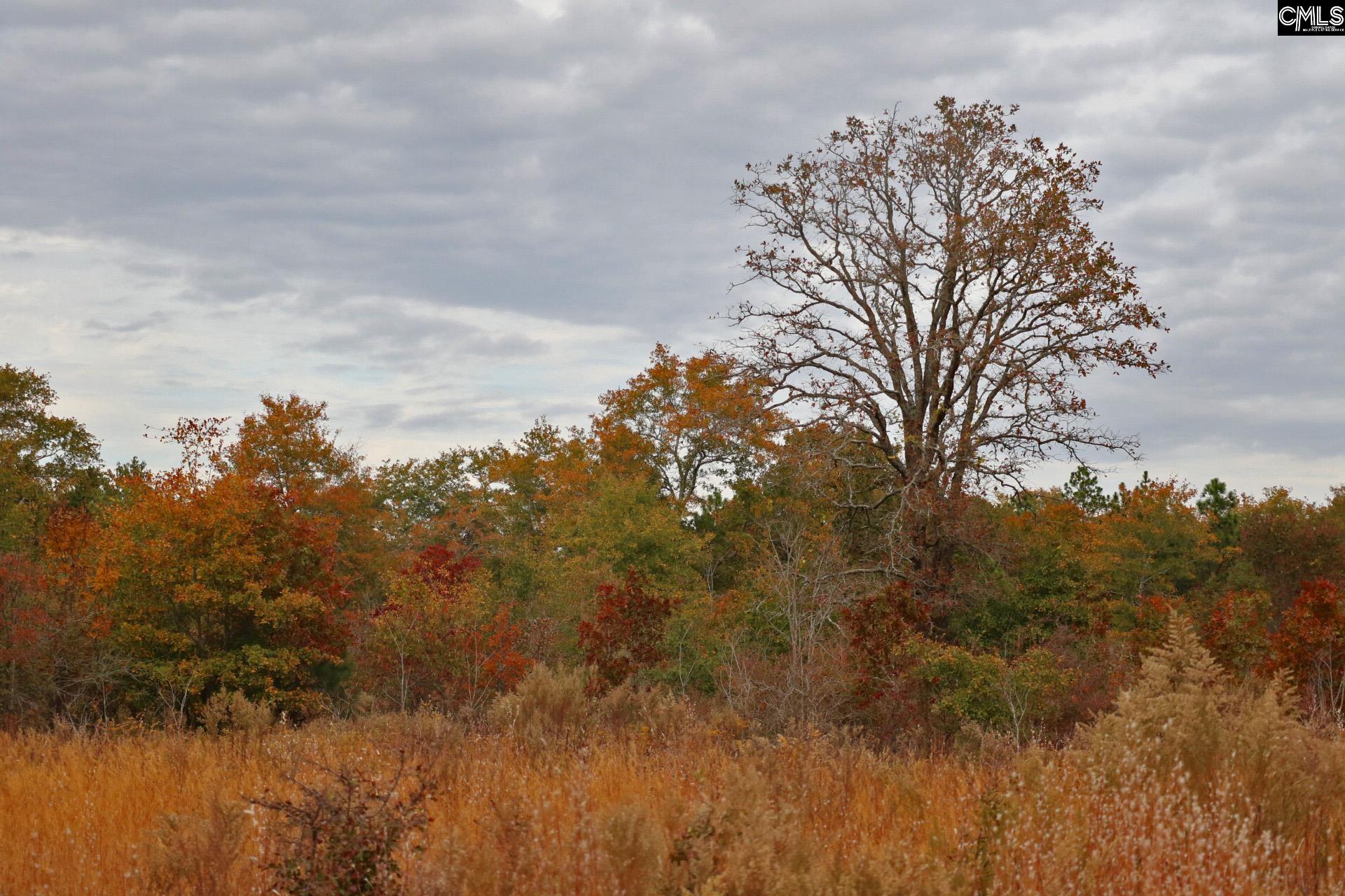 TBD Browns Pond Road Wagener, SC 29164-0000