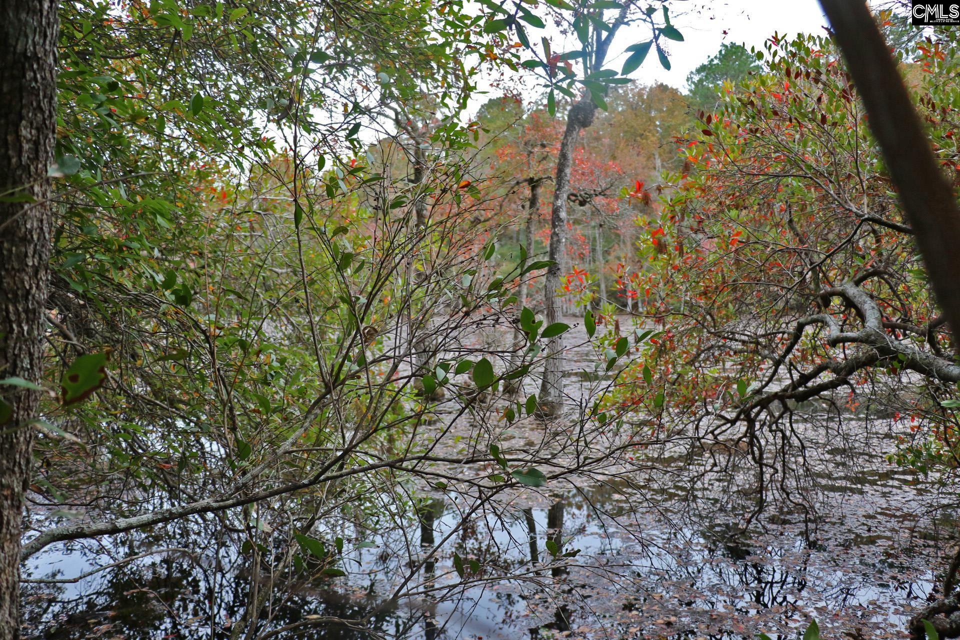 TBD Browns Pond Road Wagener, SC 29164-0000