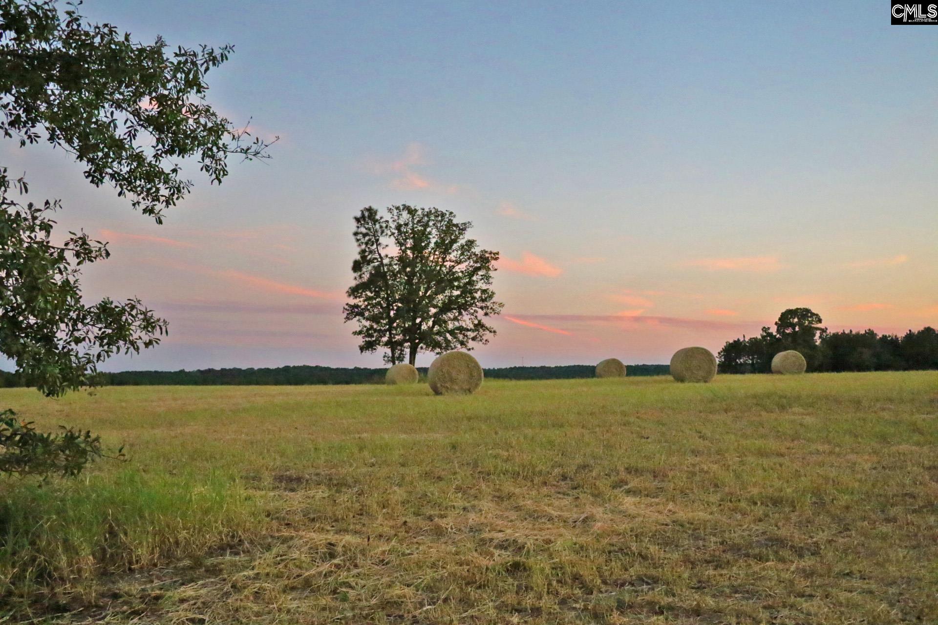 TBD Browns Pond Road Wagener, SC 29164-0000