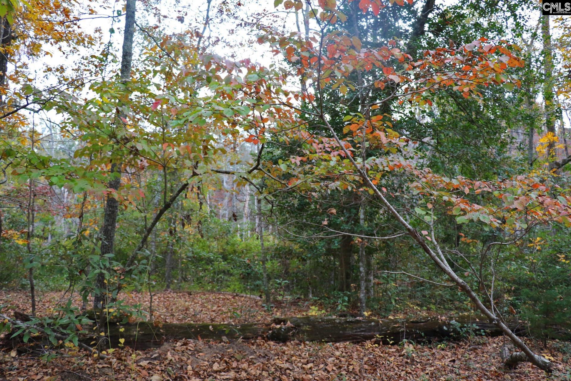 TBD Browns Pond Road Wagener, SC 29164-0000