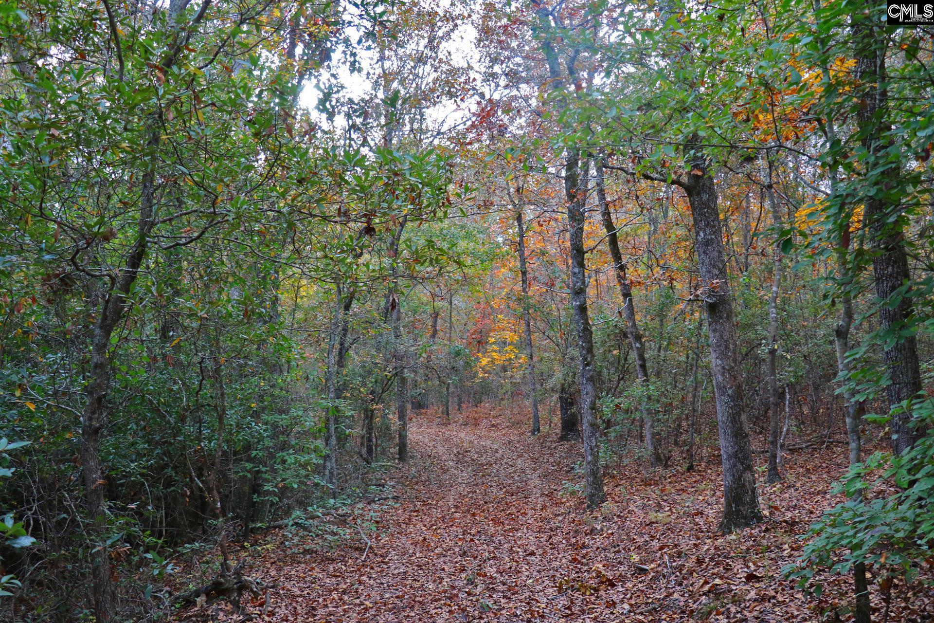 TBD Browns Pond Road Wagener, SC 29164-0000