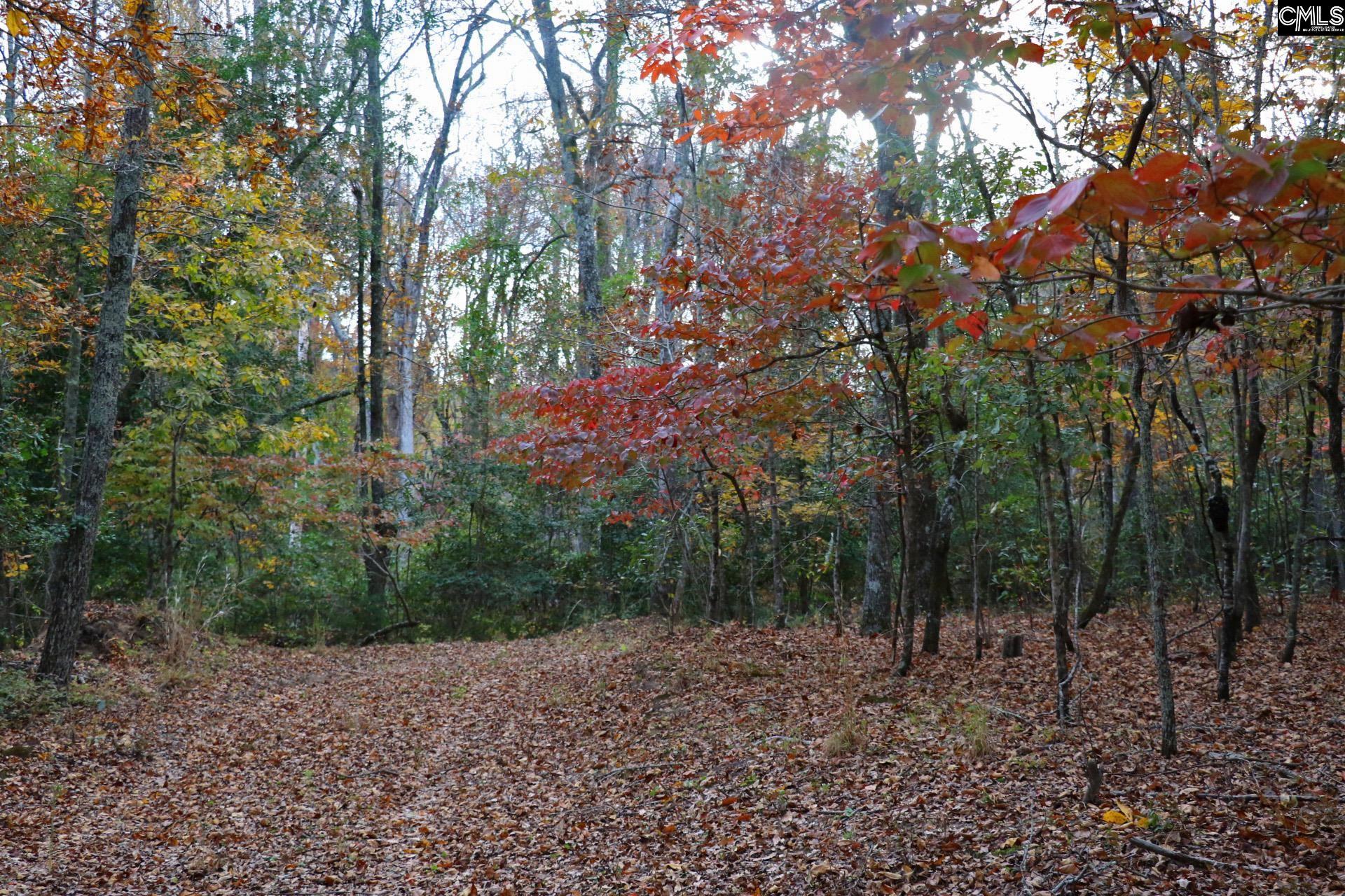 TBD Browns Pond Road Wagener, SC 29164-0000