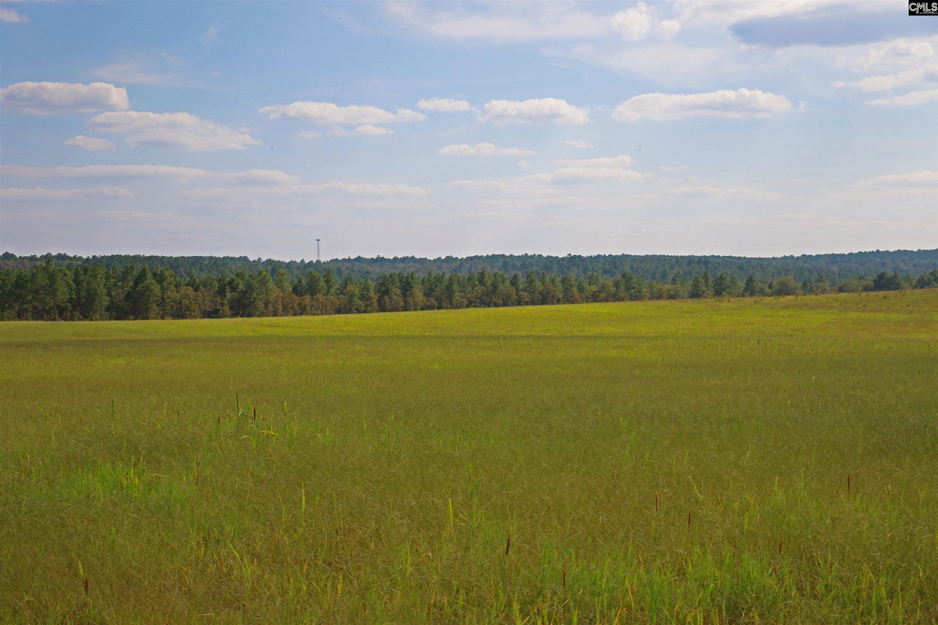 TBD Browns Pond Road Wagener, SC 29164-0000