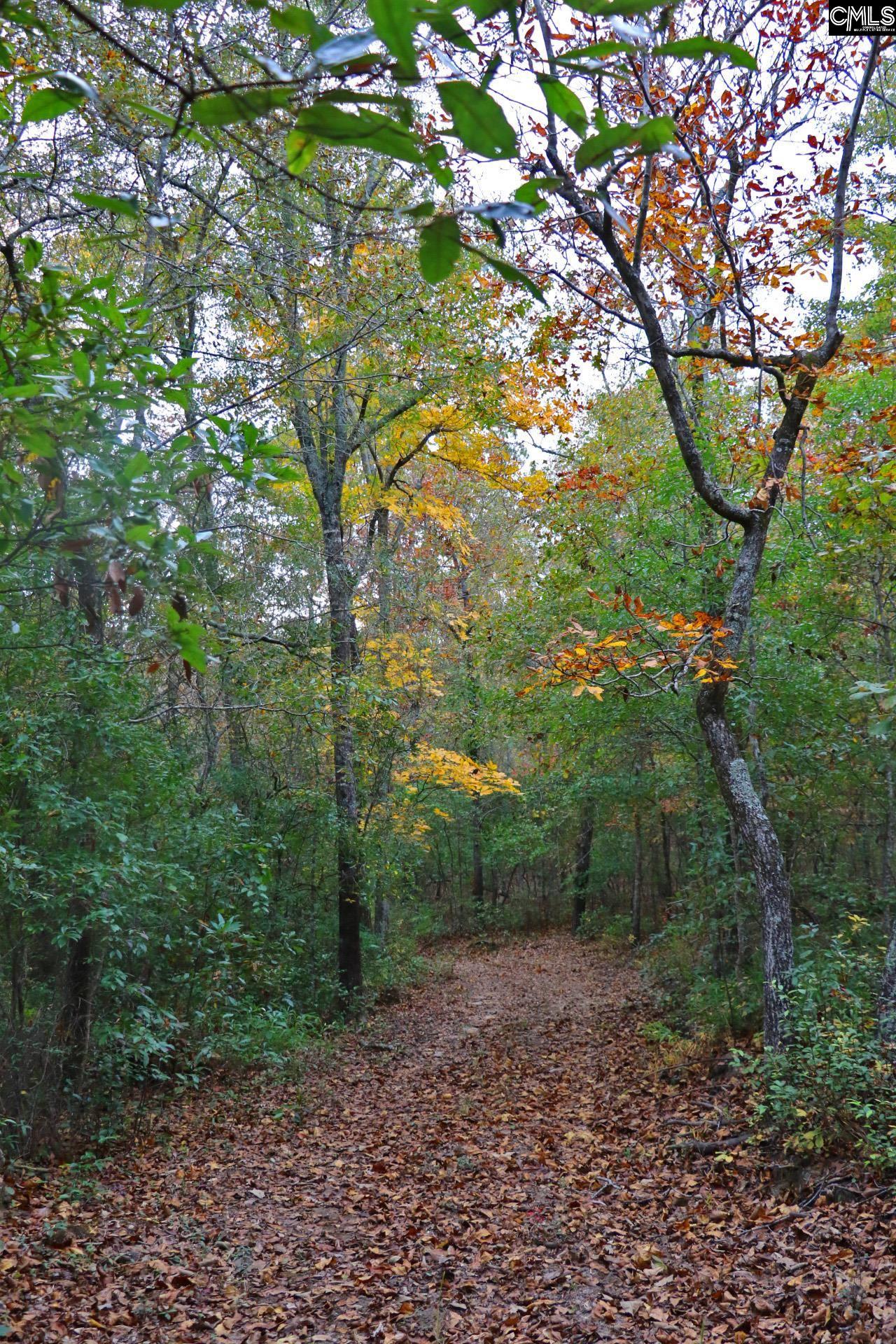 TBD Browns Pond Road Wagener, SC 29164-0000