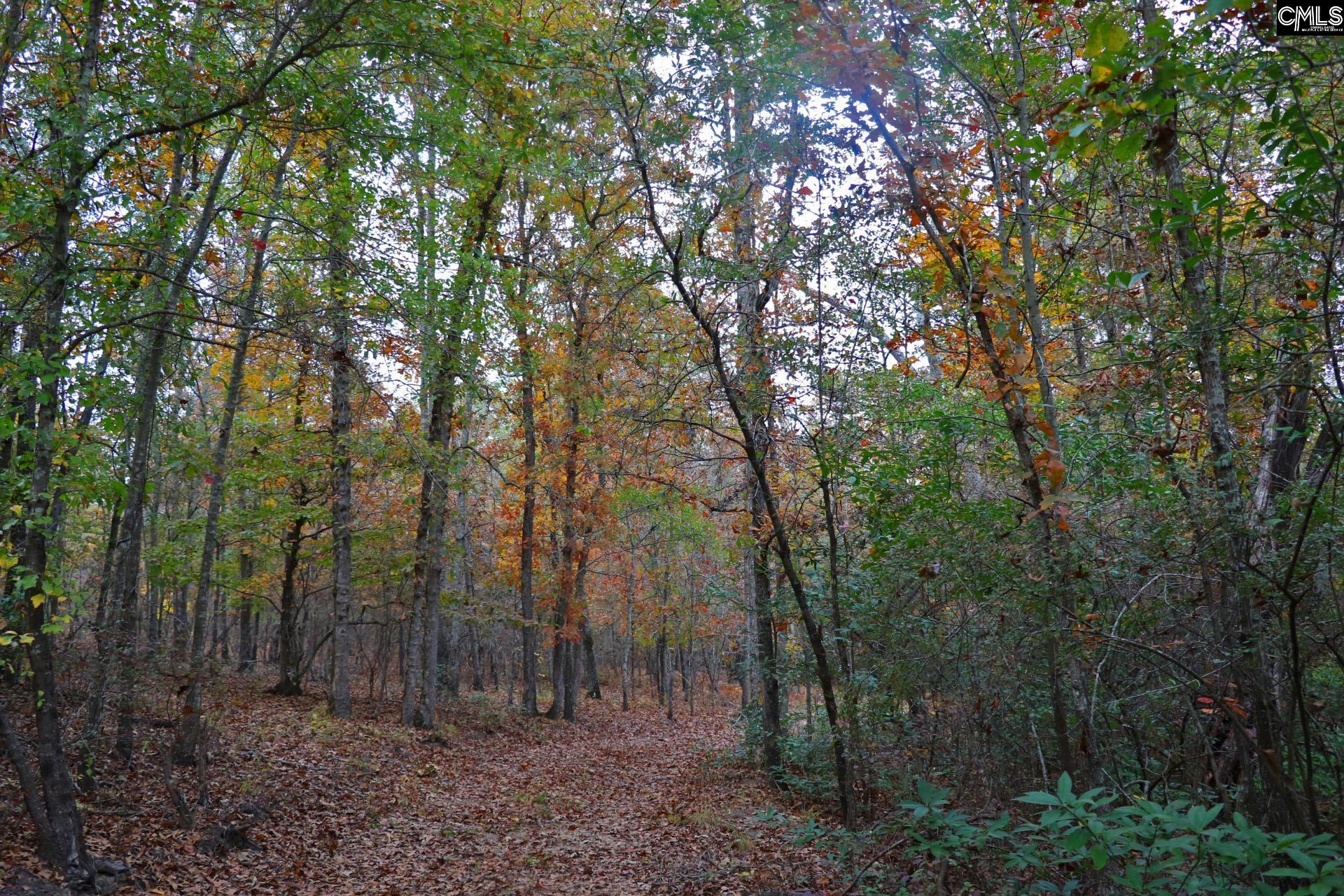 TBD Browns Pond Road Wagener, SC 29164-0000