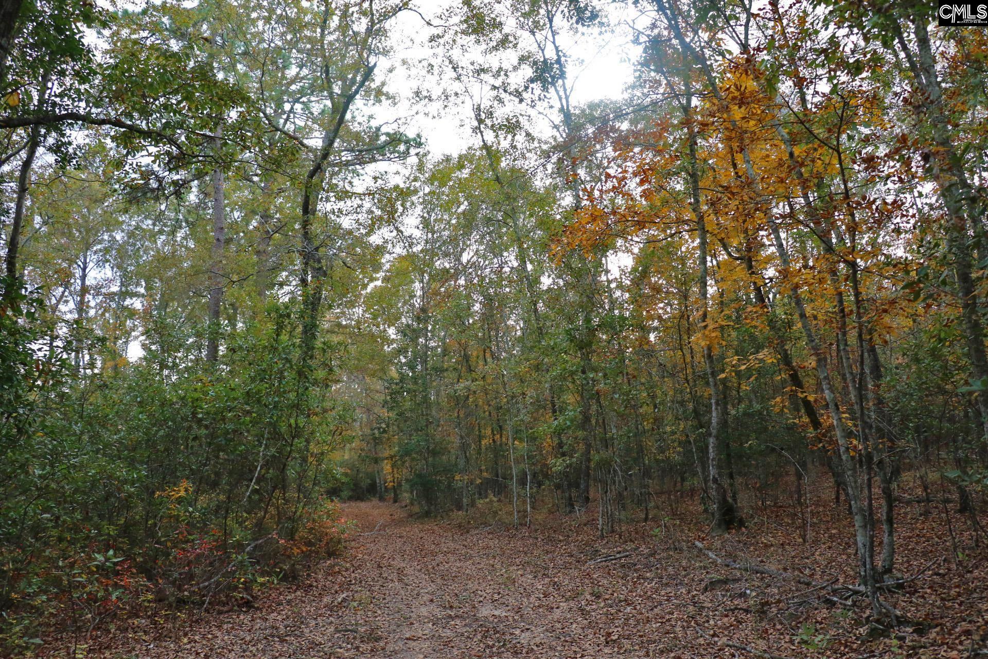 TBD Browns Pond Road Wagener, SC 29164-0000