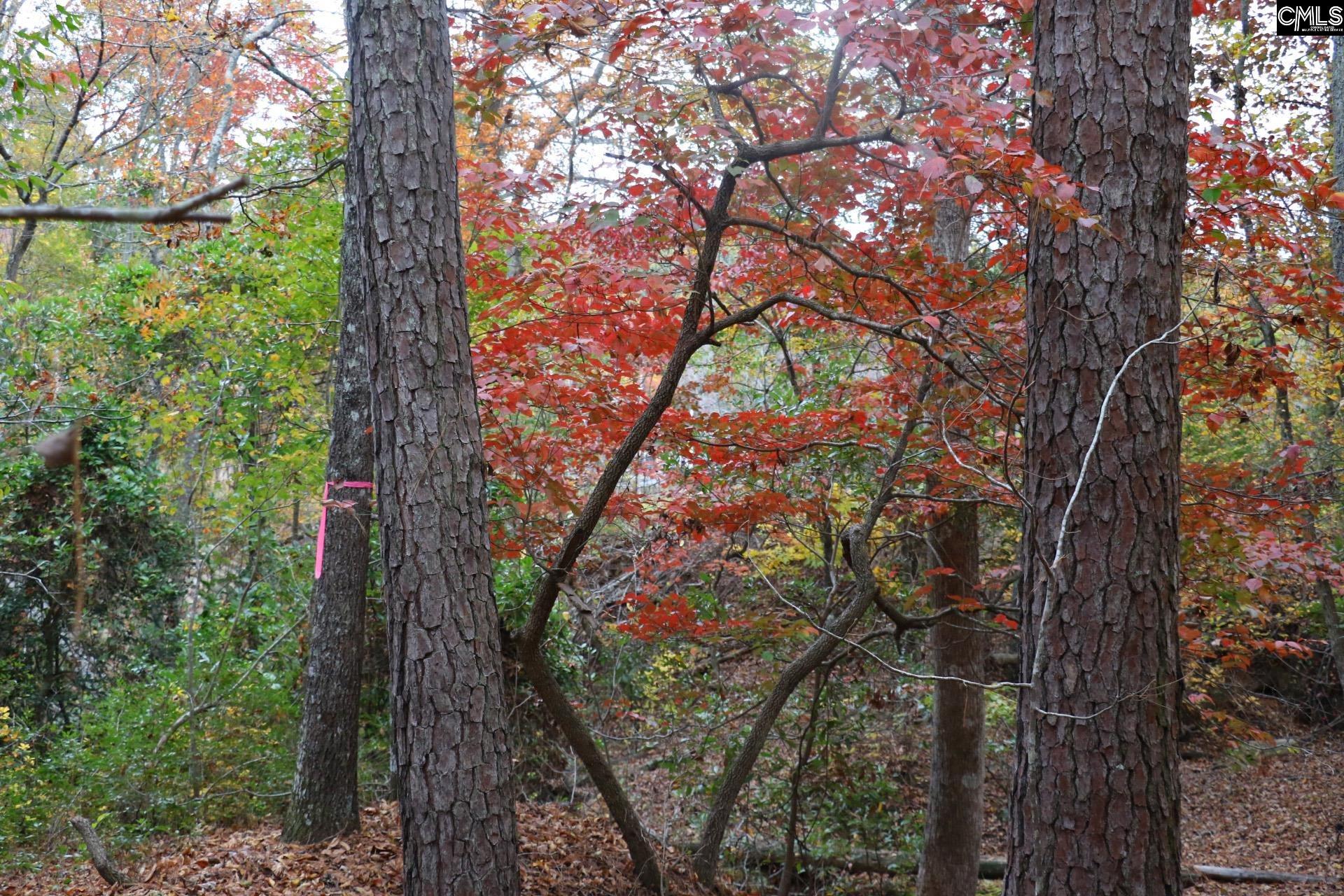 TBD Browns Pond Road Wagener, SC 29164-0000