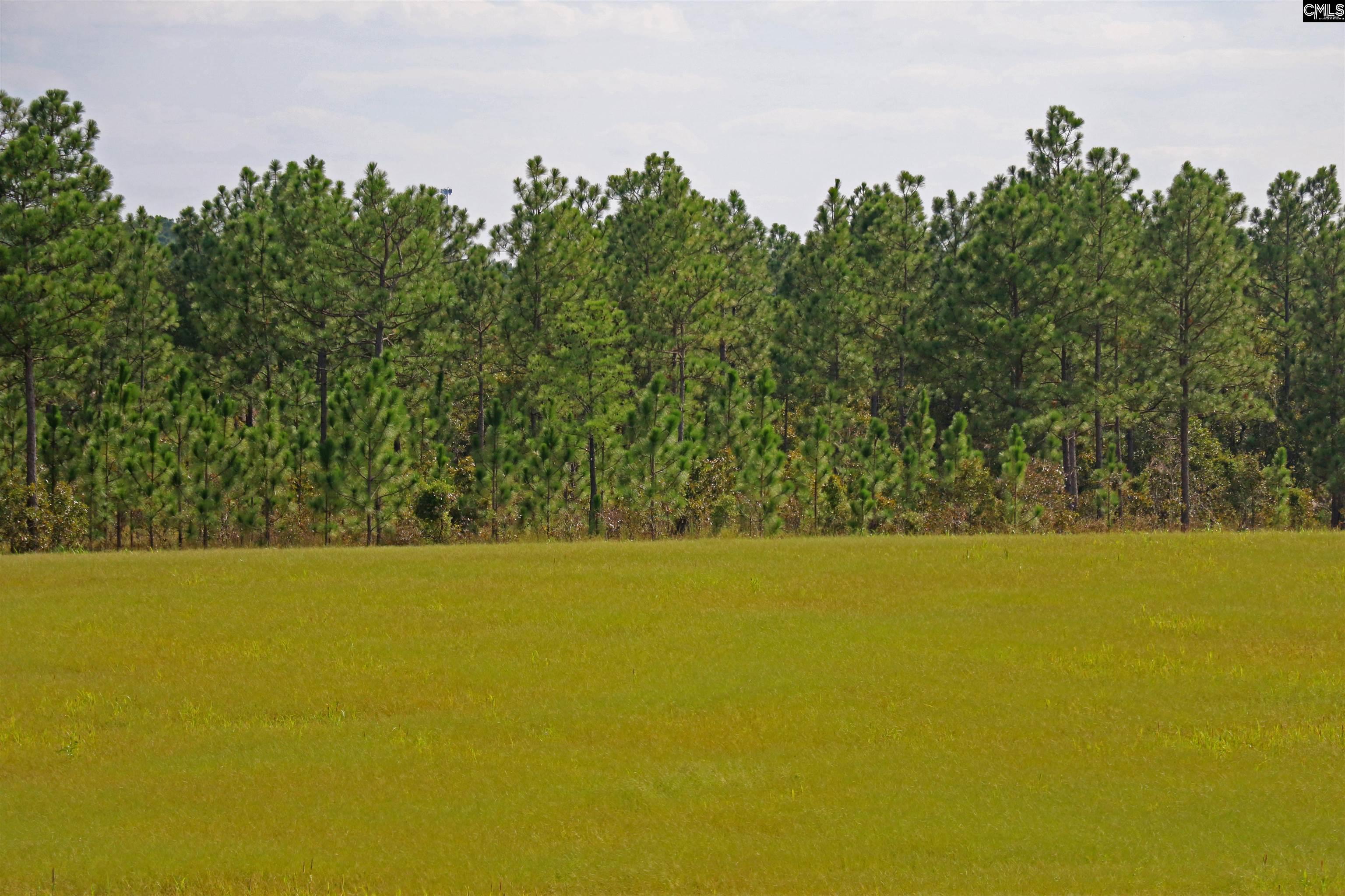 TBD Browns Pond Road Wagener, SC 29164-0000