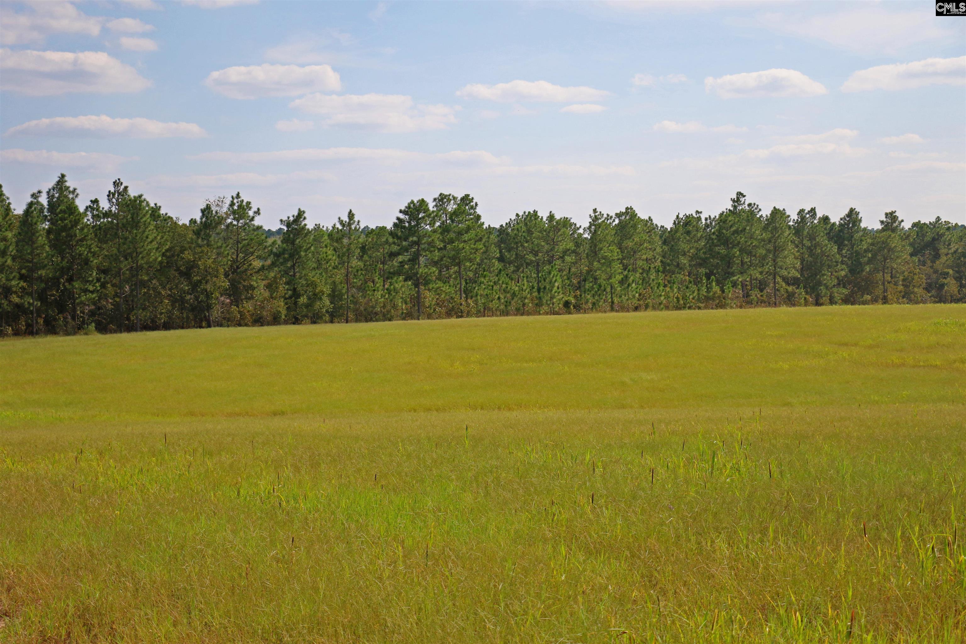 TBD Browns Pond Road Wagener, SC 29164-0000