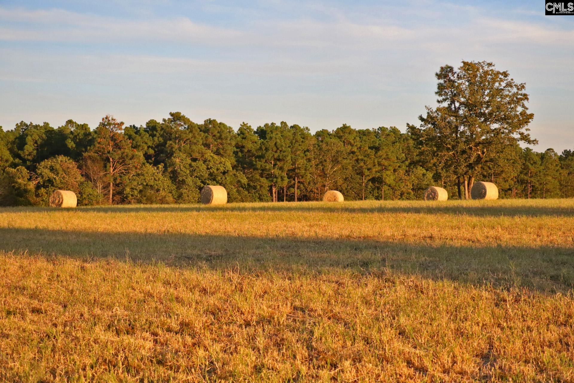 TBD Browns Pond Road Wagener, SC 29164-0000