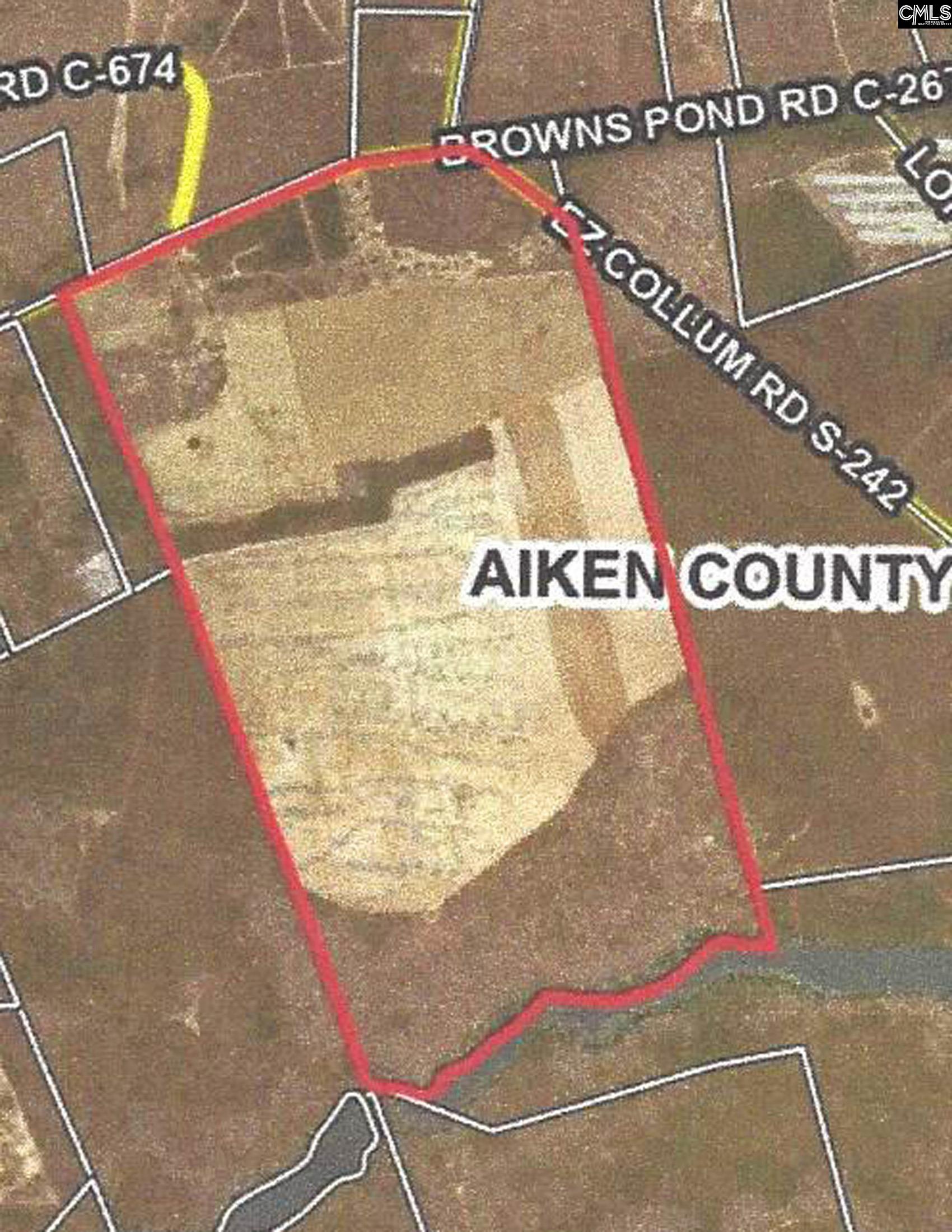 TBD Browns Pond Road Wagener, SC 29164-0000