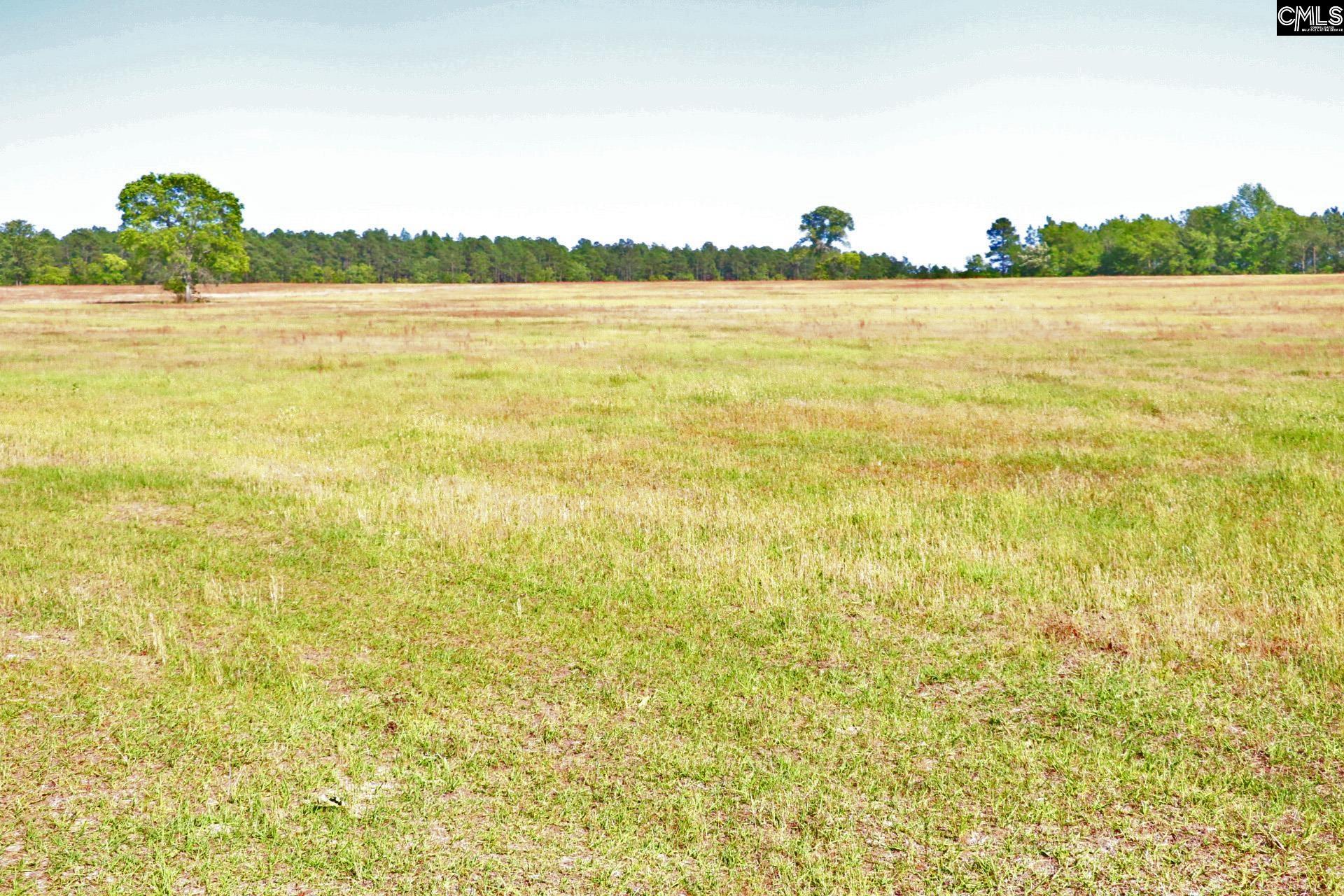 TBD Browns Pond Road Wagener, SC 29164-0000