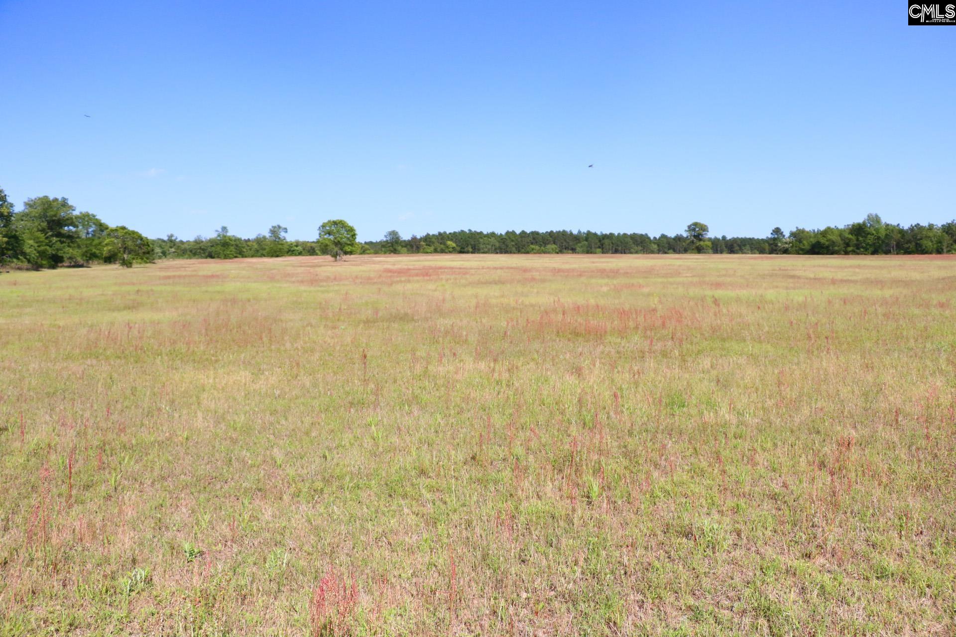 TBD Browns Pond Road Wagener, SC 29164-0000