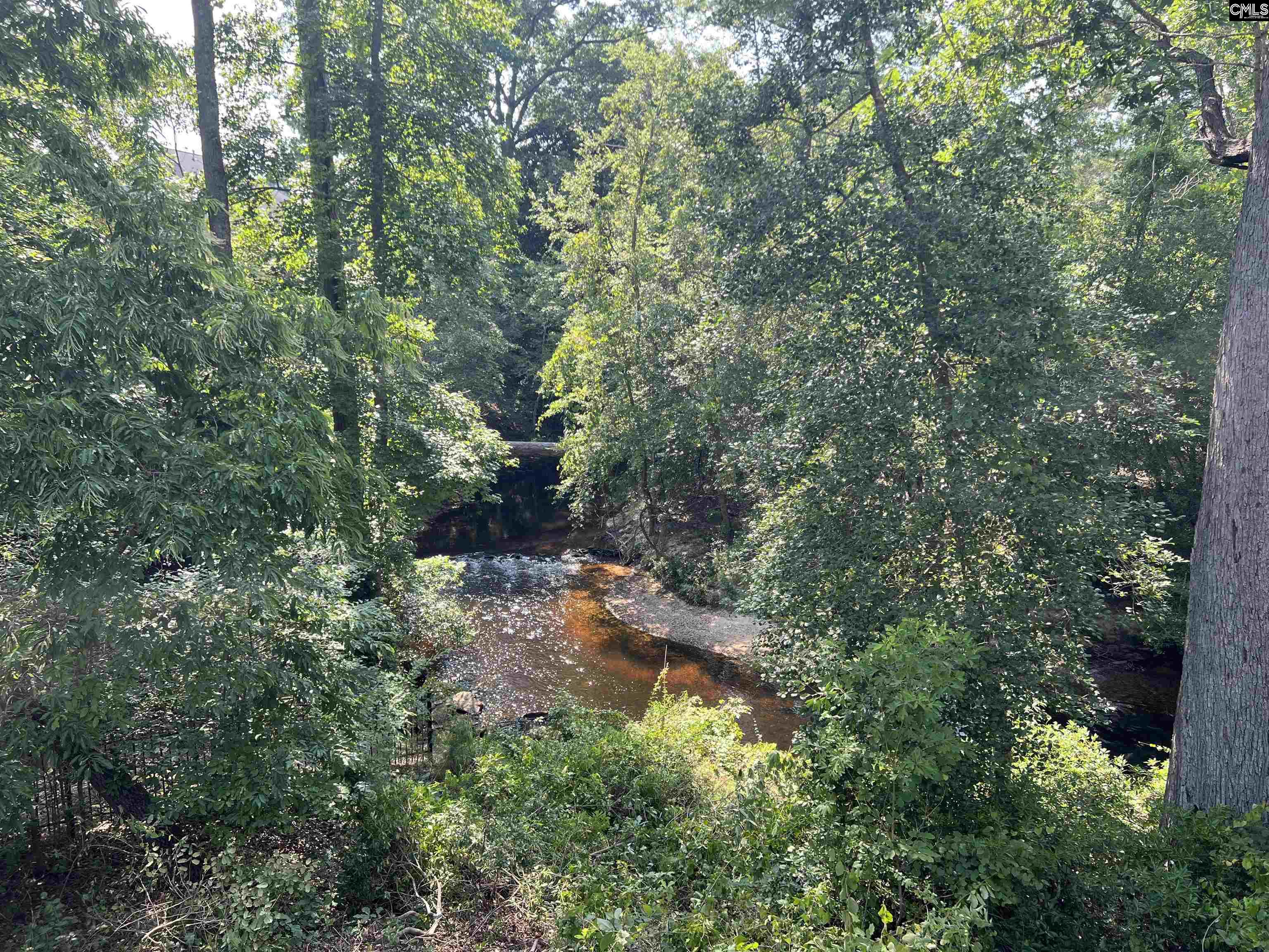 127 Brooklet Drive Lexington, SC 29072