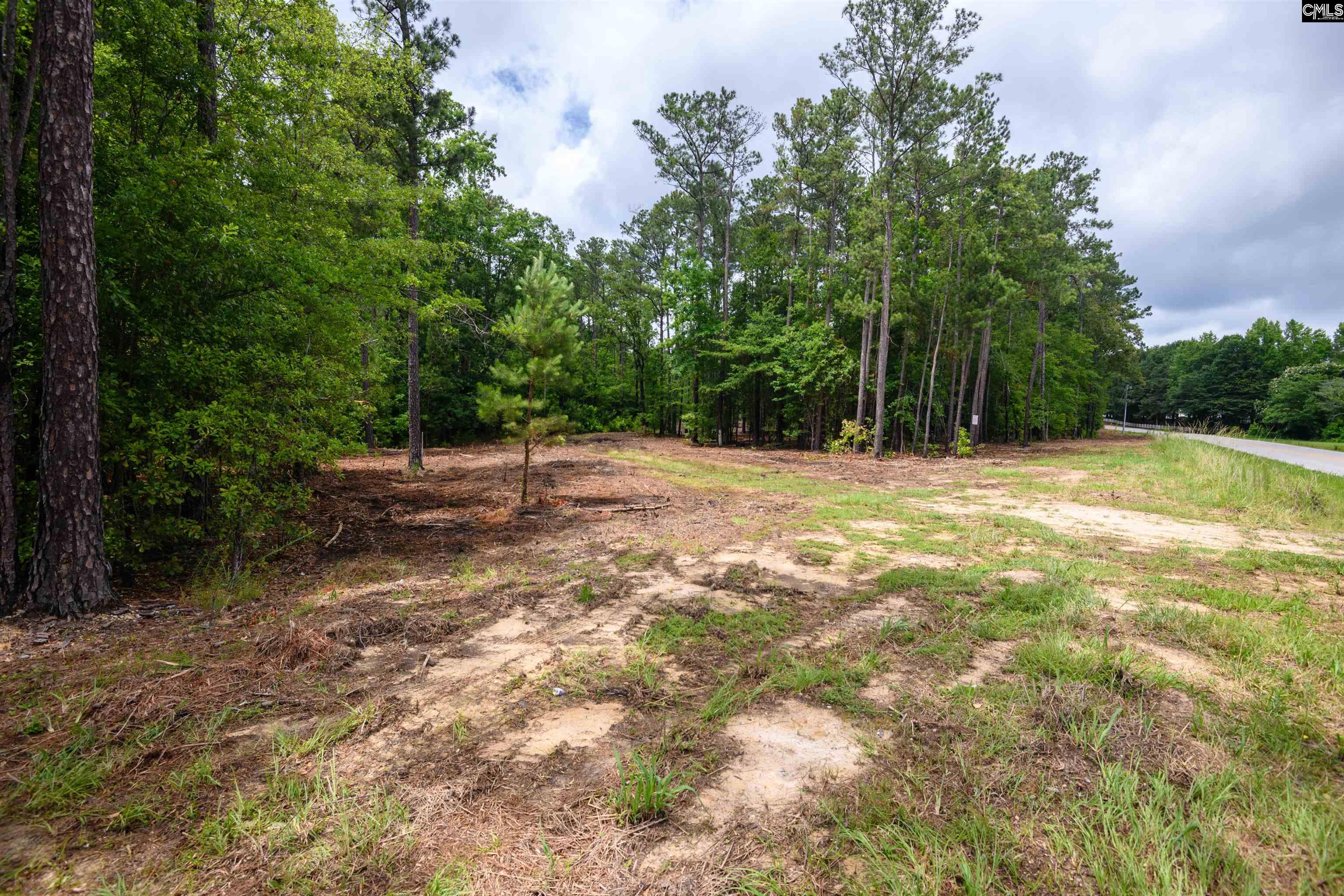 227 Maxie Road UNIT Lot 1 Lexington, SC 29072