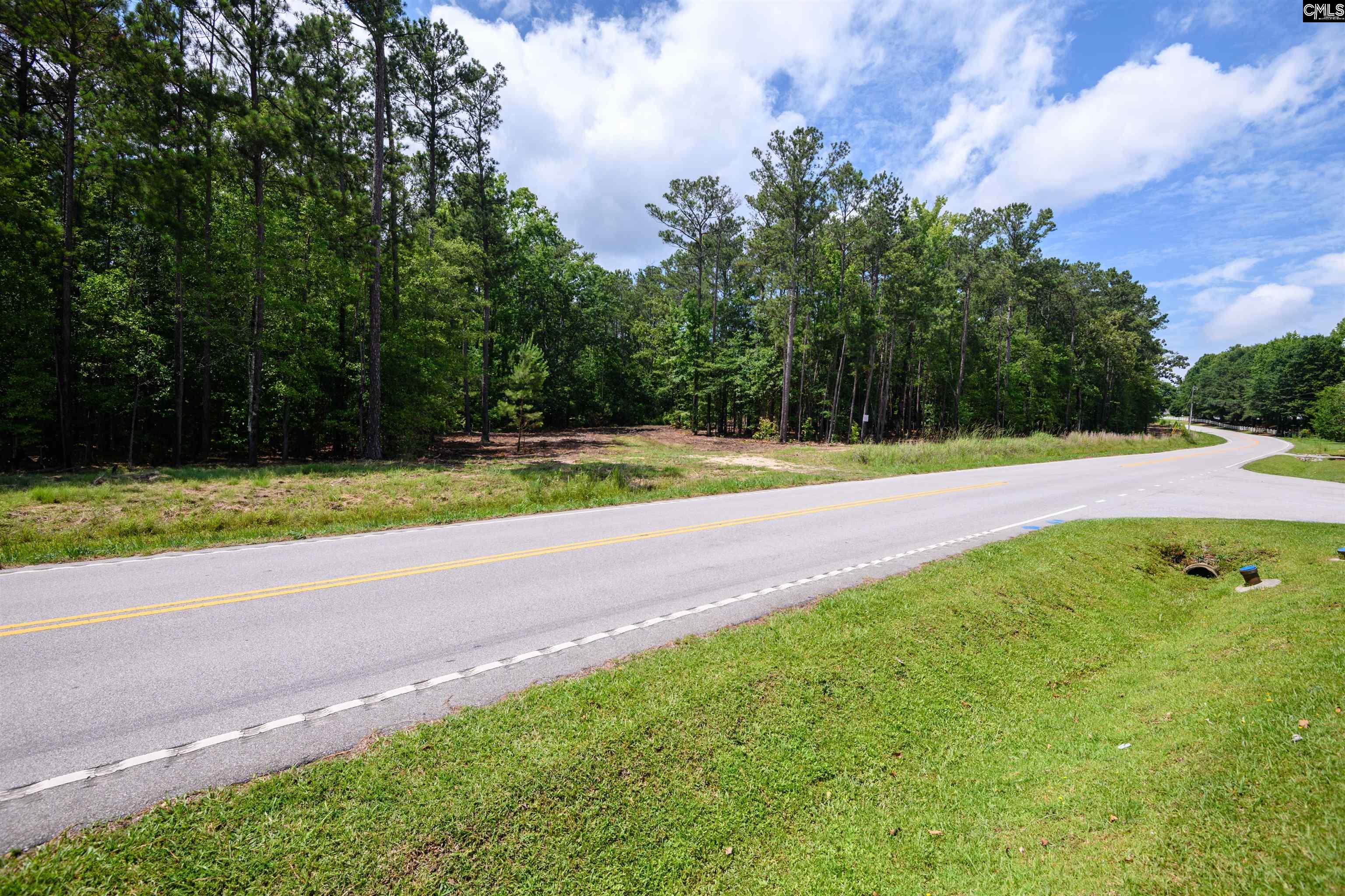 227 Maxie Road UNIT Lot 1 Lexington, SC 29072