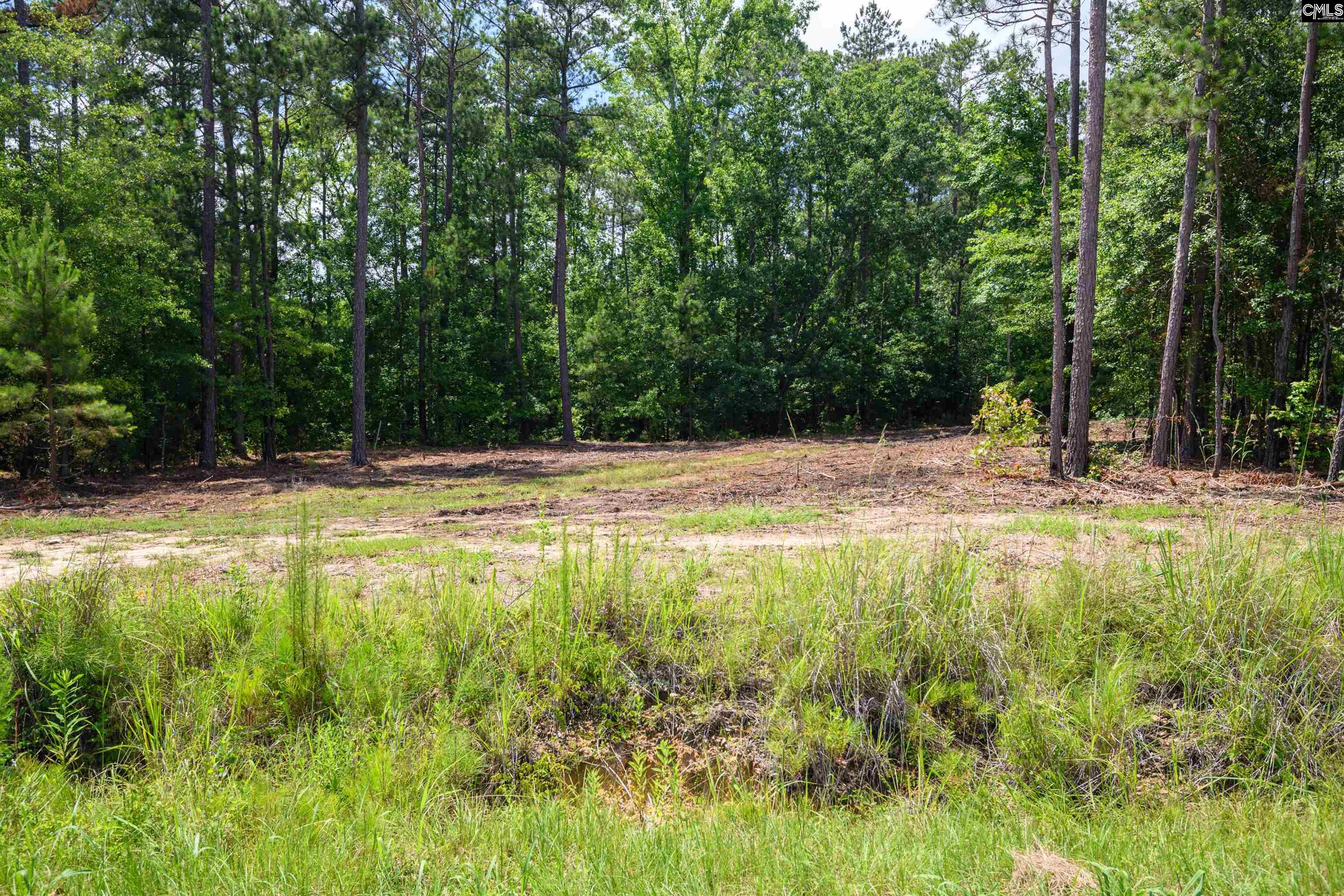 227 Maxie Road UNIT Lot 1 Lexington, SC 29072