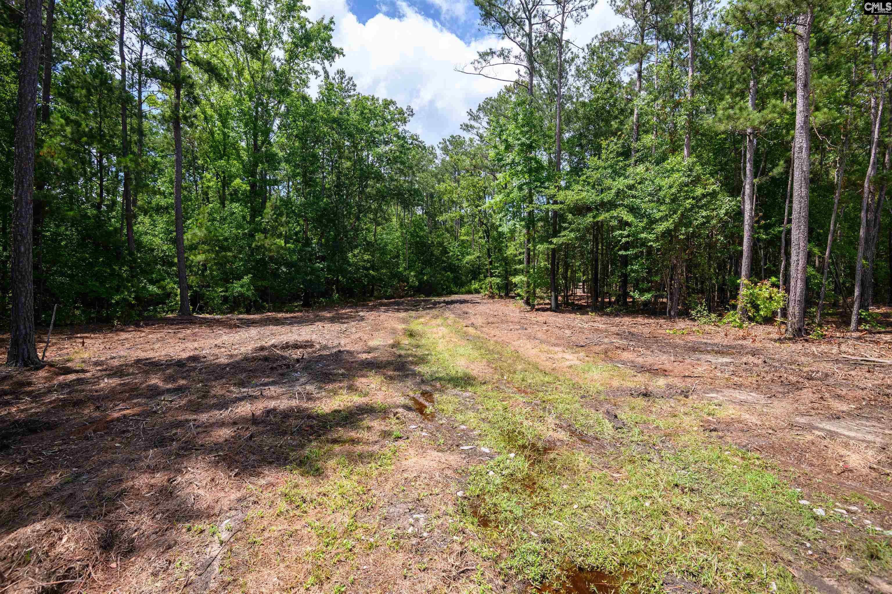 227 Maxie Road UNIT Lot 1 Lexington, SC 29072