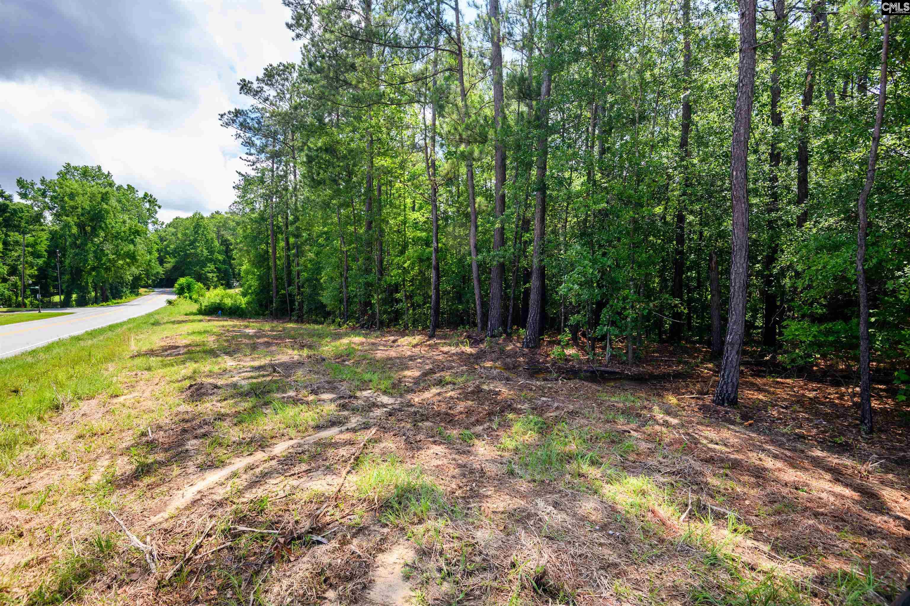 227 Maxie Road UNIT Lot 1 Lexington, SC 29072