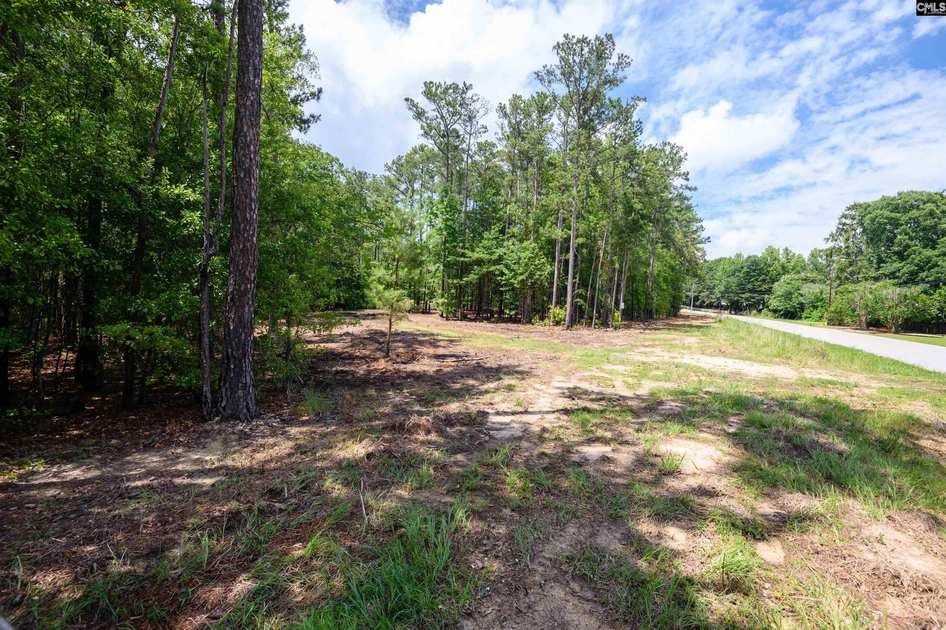 227 Maxie Road UNIT Lot 1 Lexington, SC 29072