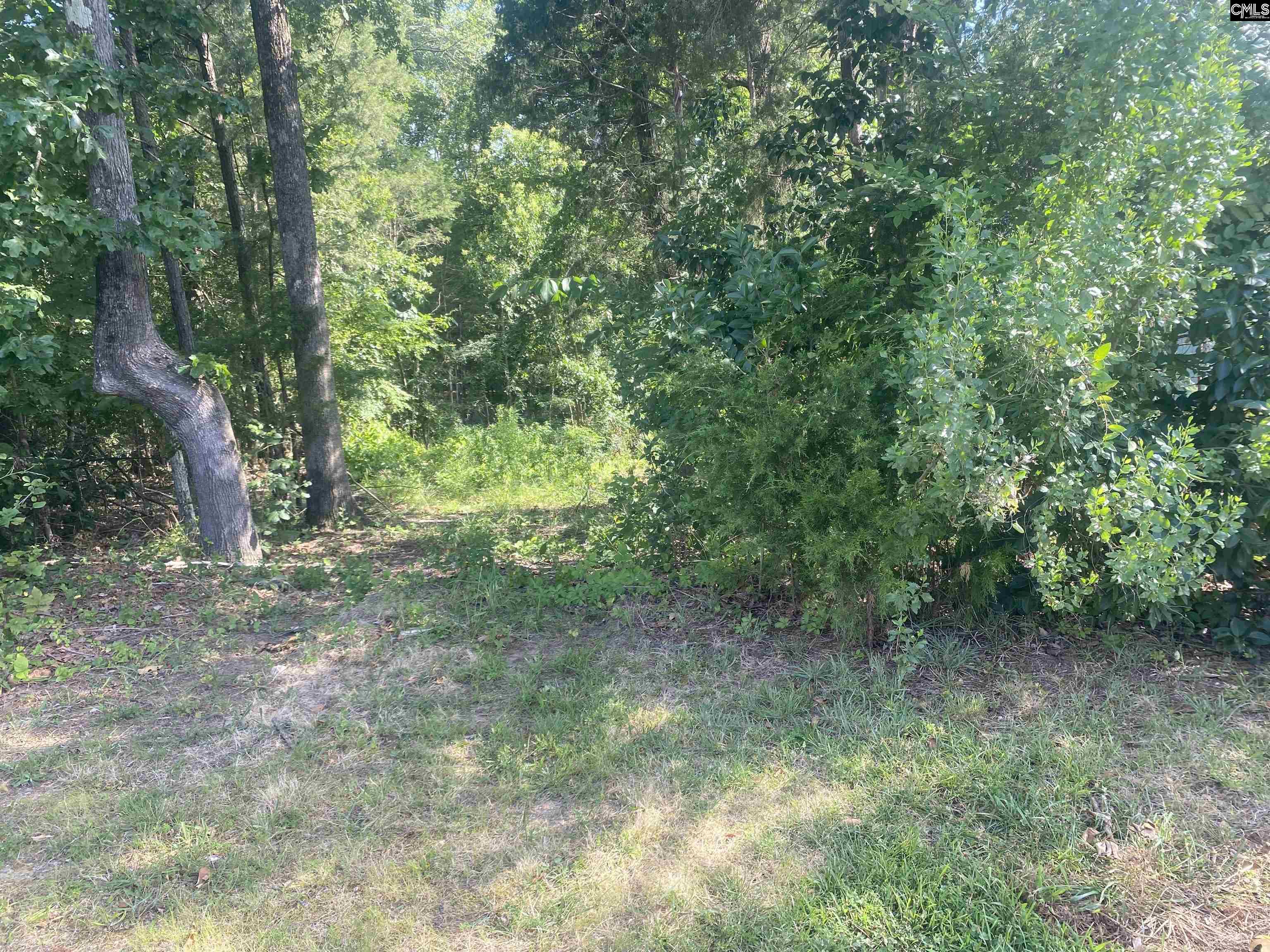 115 Beacon Point Road UNIT #33 Irmo, SC 29063